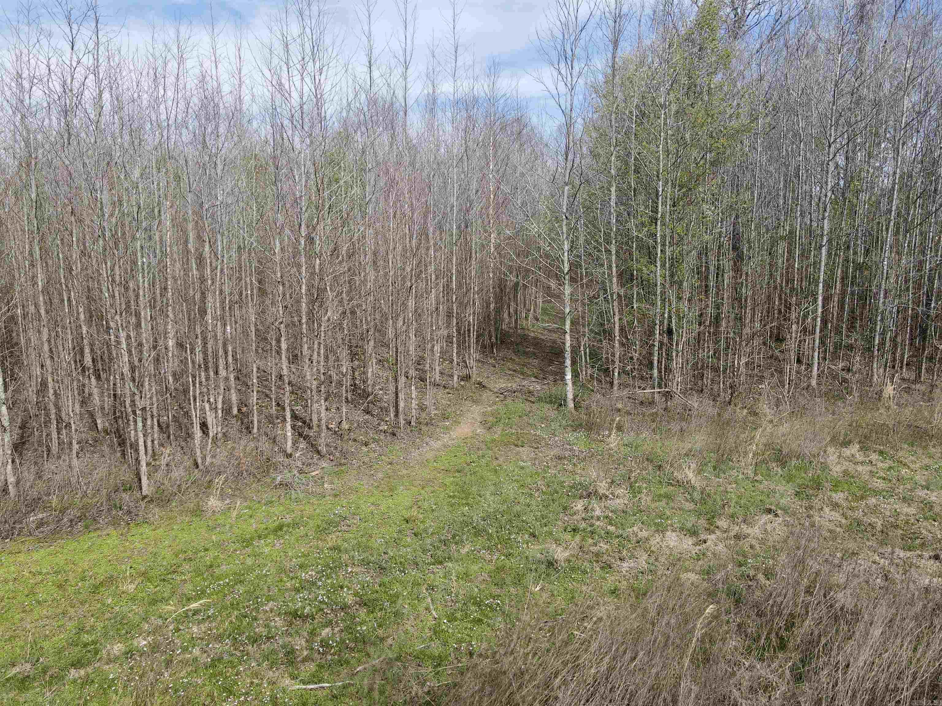 3926  Highway 367 S  Garner, AR