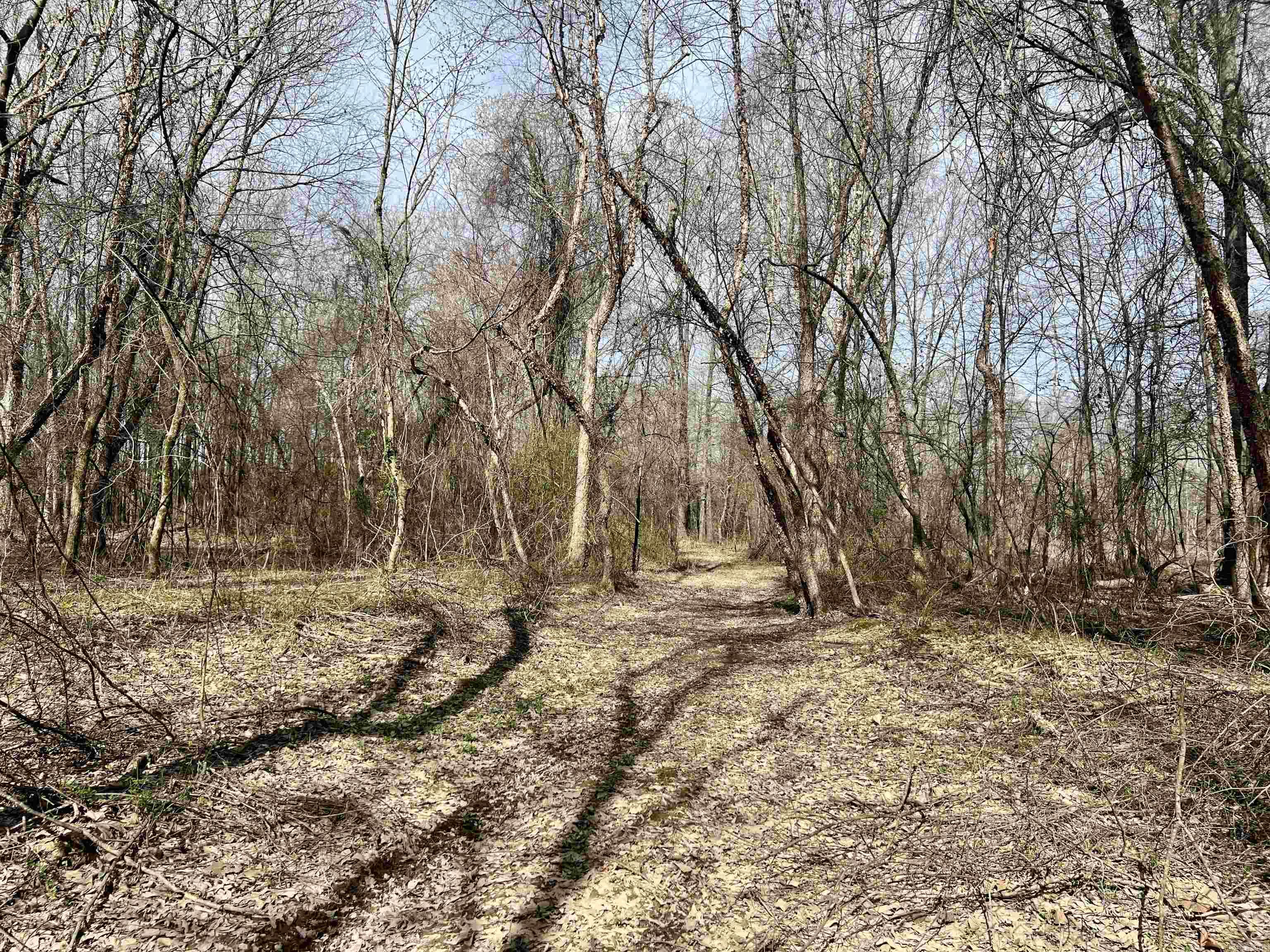 3926  Highway 367 S  Garner, AR