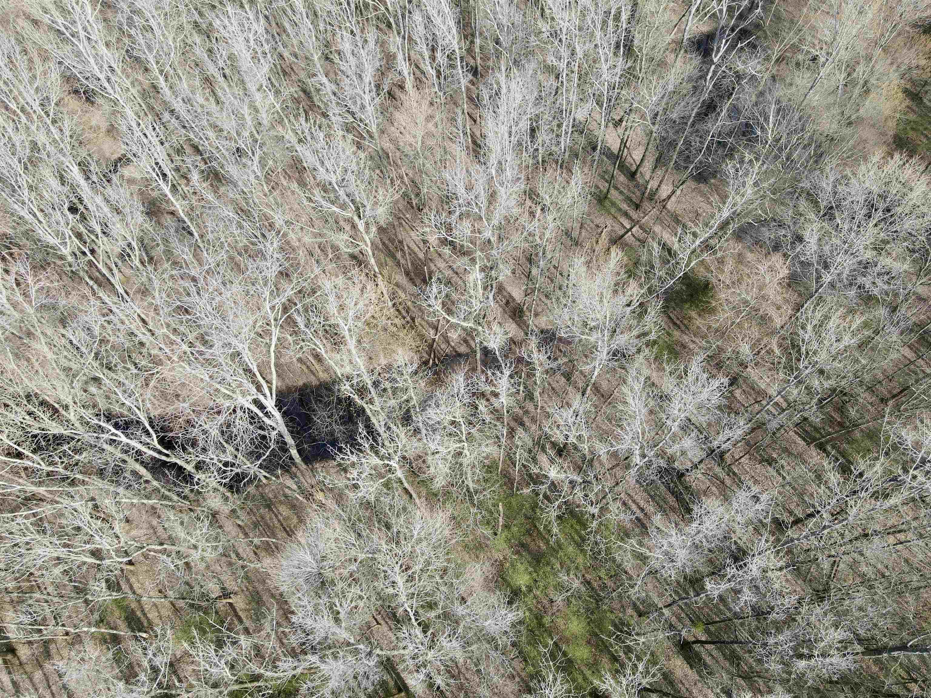 3926  Highway 367 S  Garner, AR