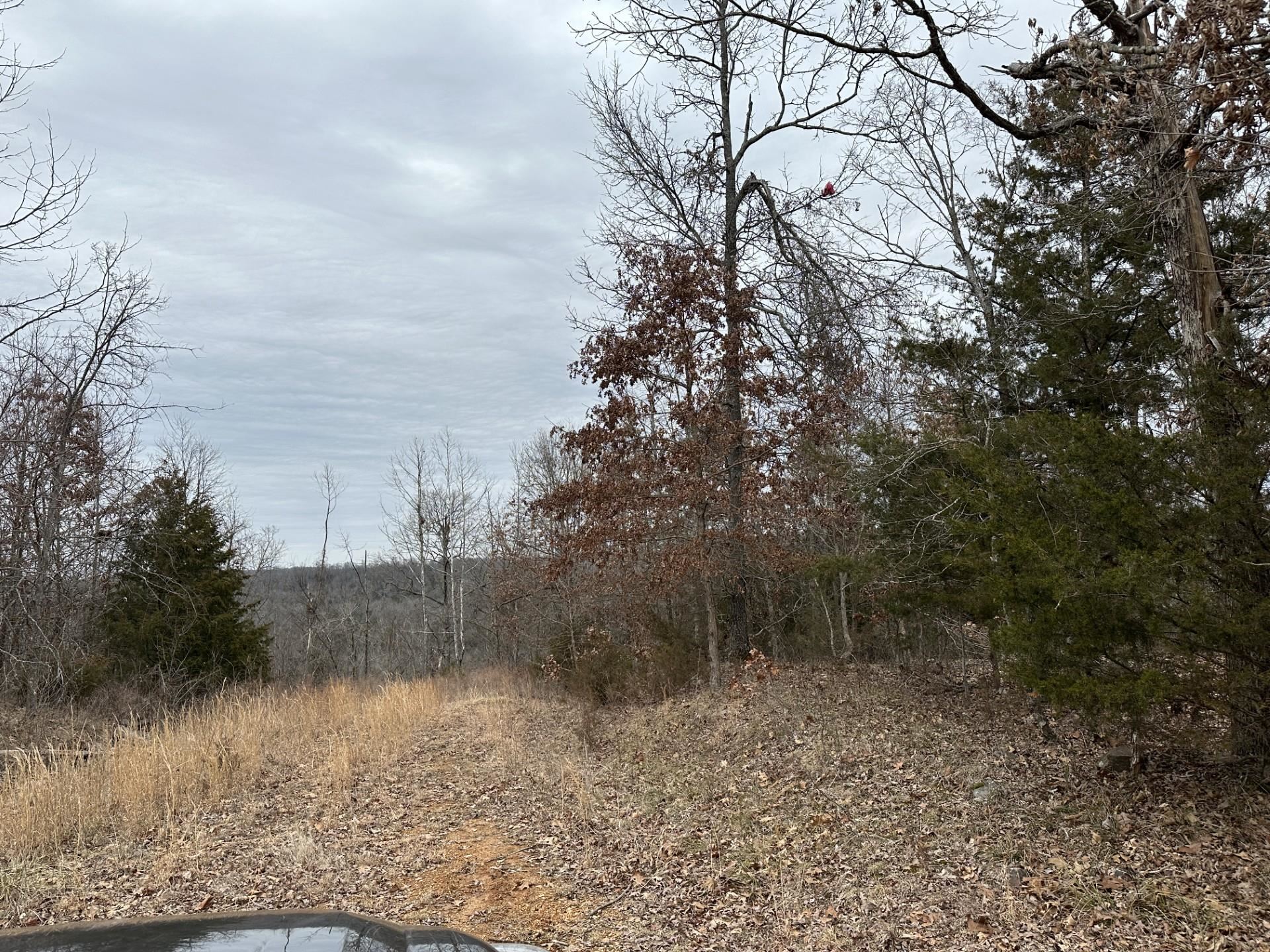 Lot 1  Deer Meadows Lane  Yellville, AR