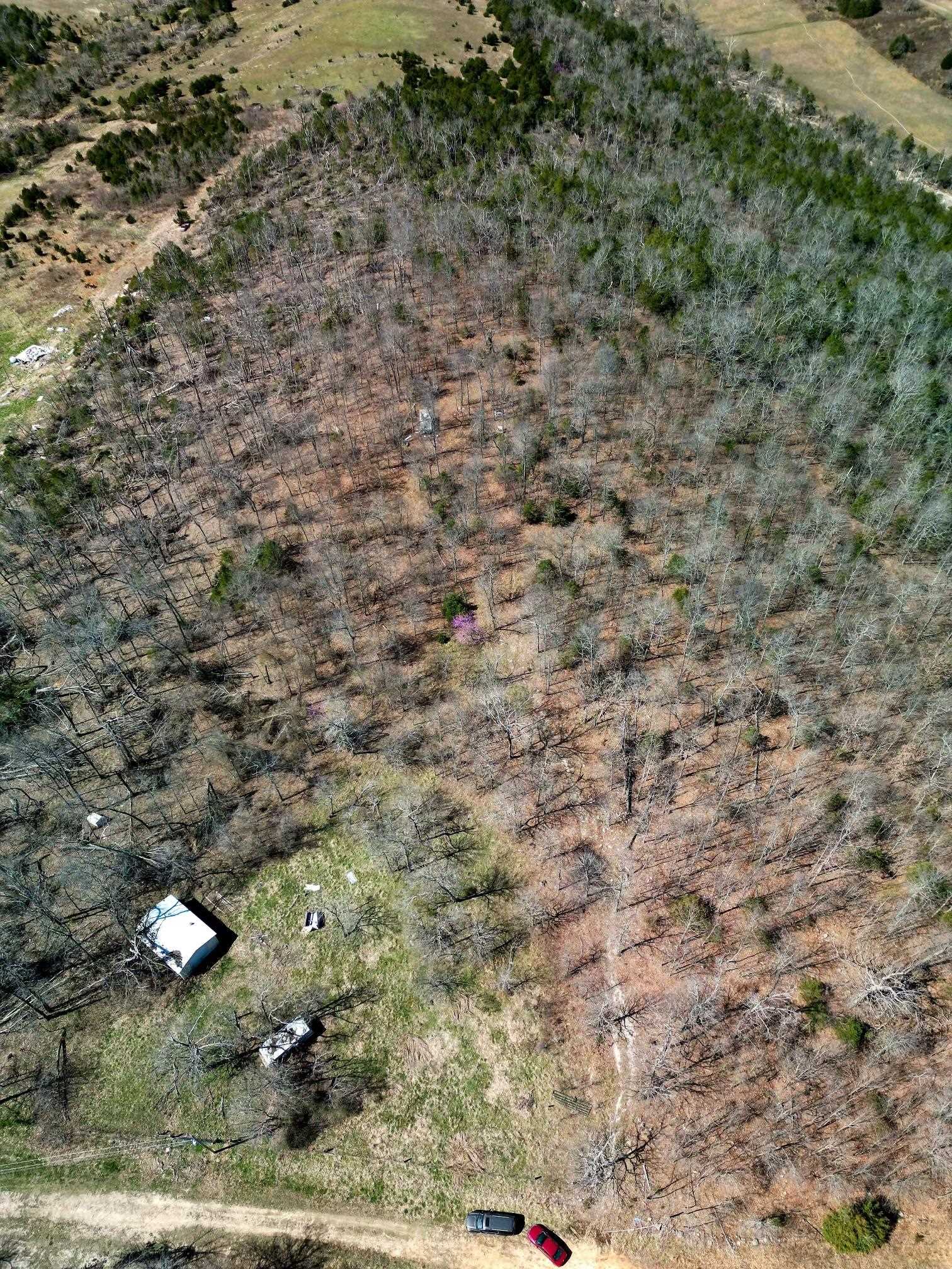 Lot 1 Deer Meadows Lane  Yellville, AR