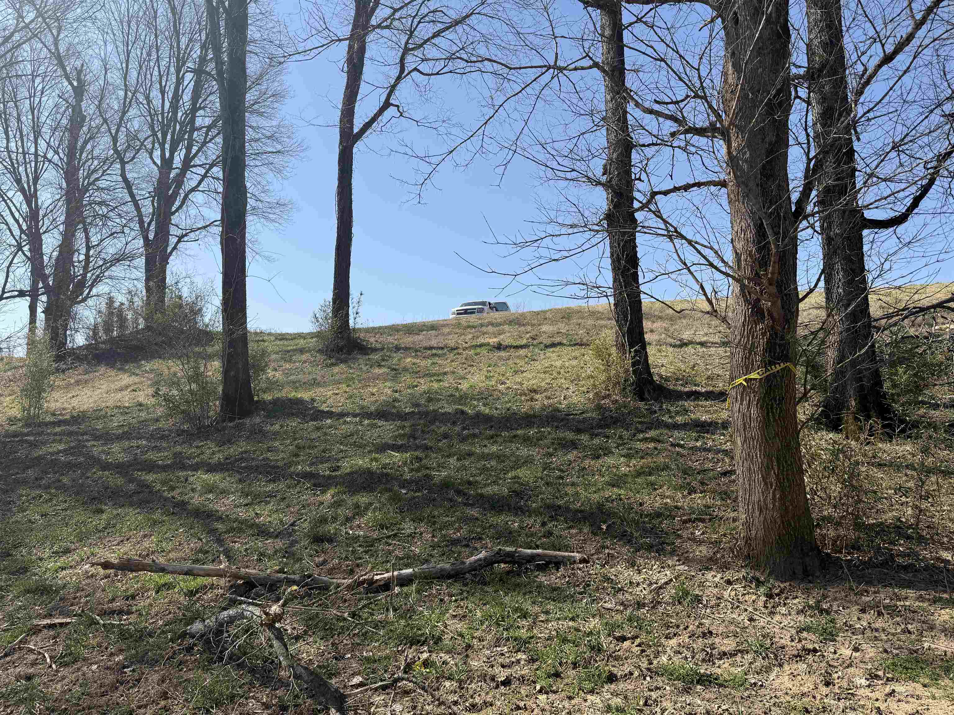 929  McPhearson Terrace  Calico Rock, AR