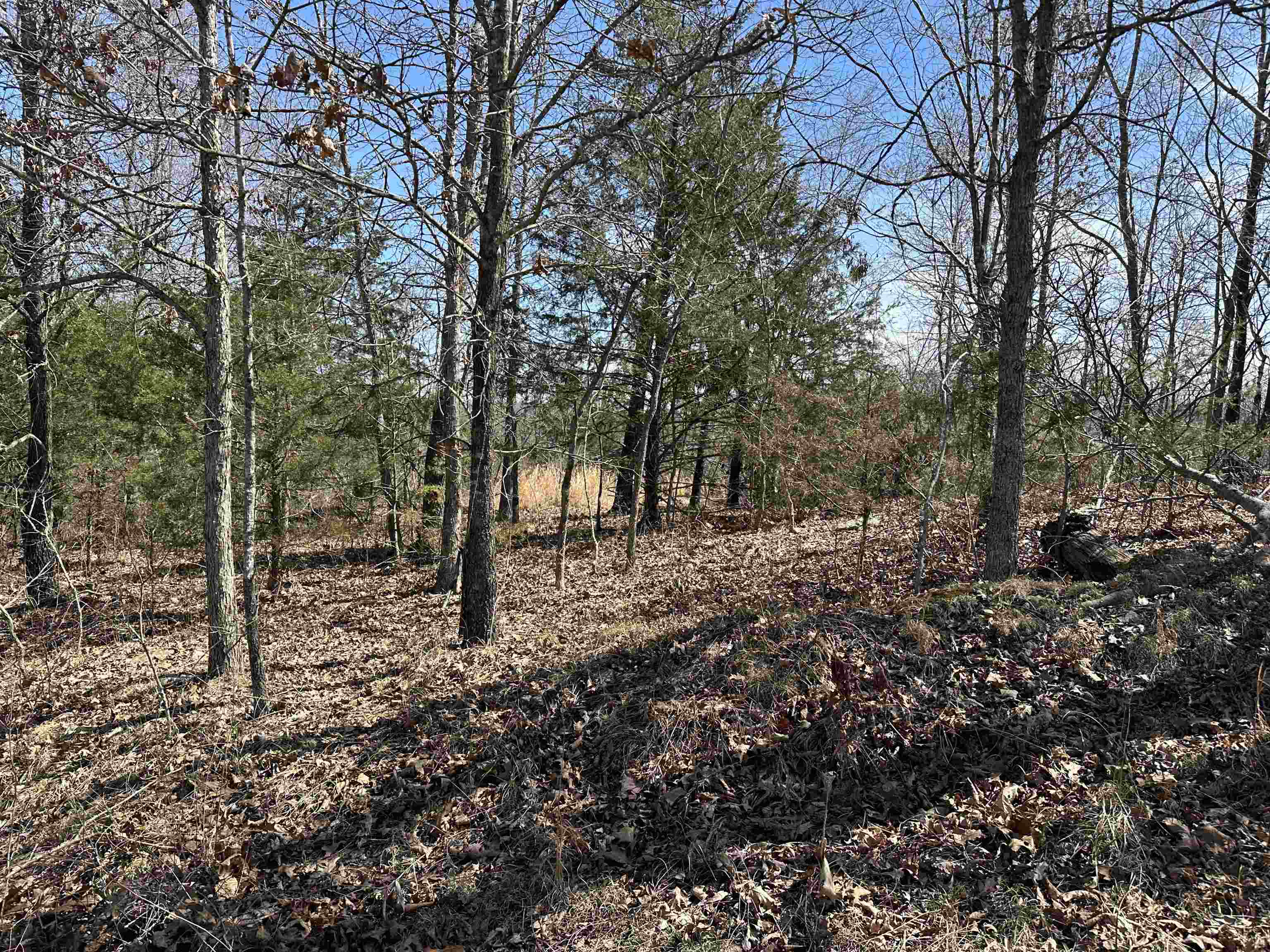 Lot 2  Deer Meadows Lane  Yellville, AR