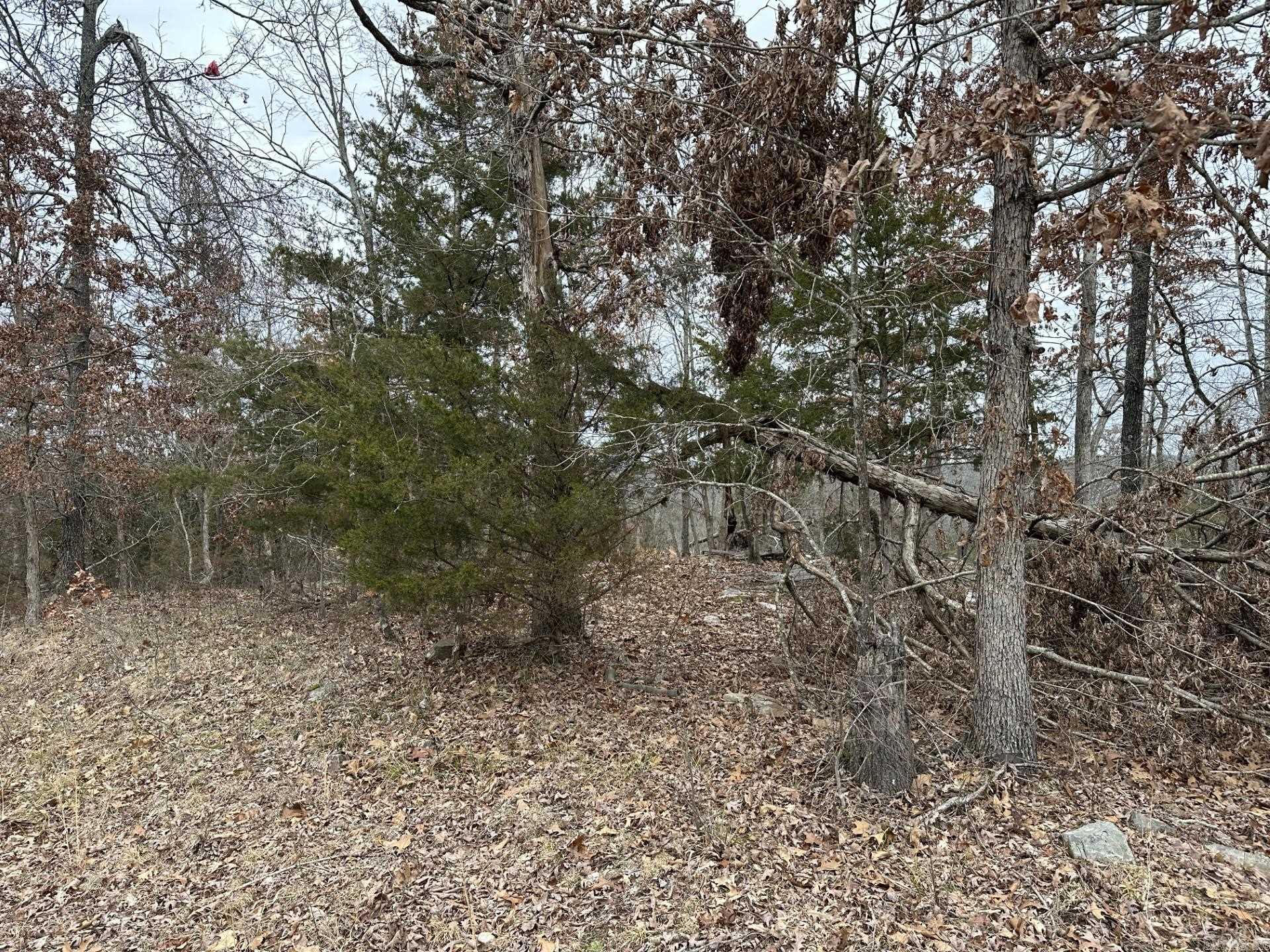 Lot 2 Deer Meadows Lane  Yellville, AR