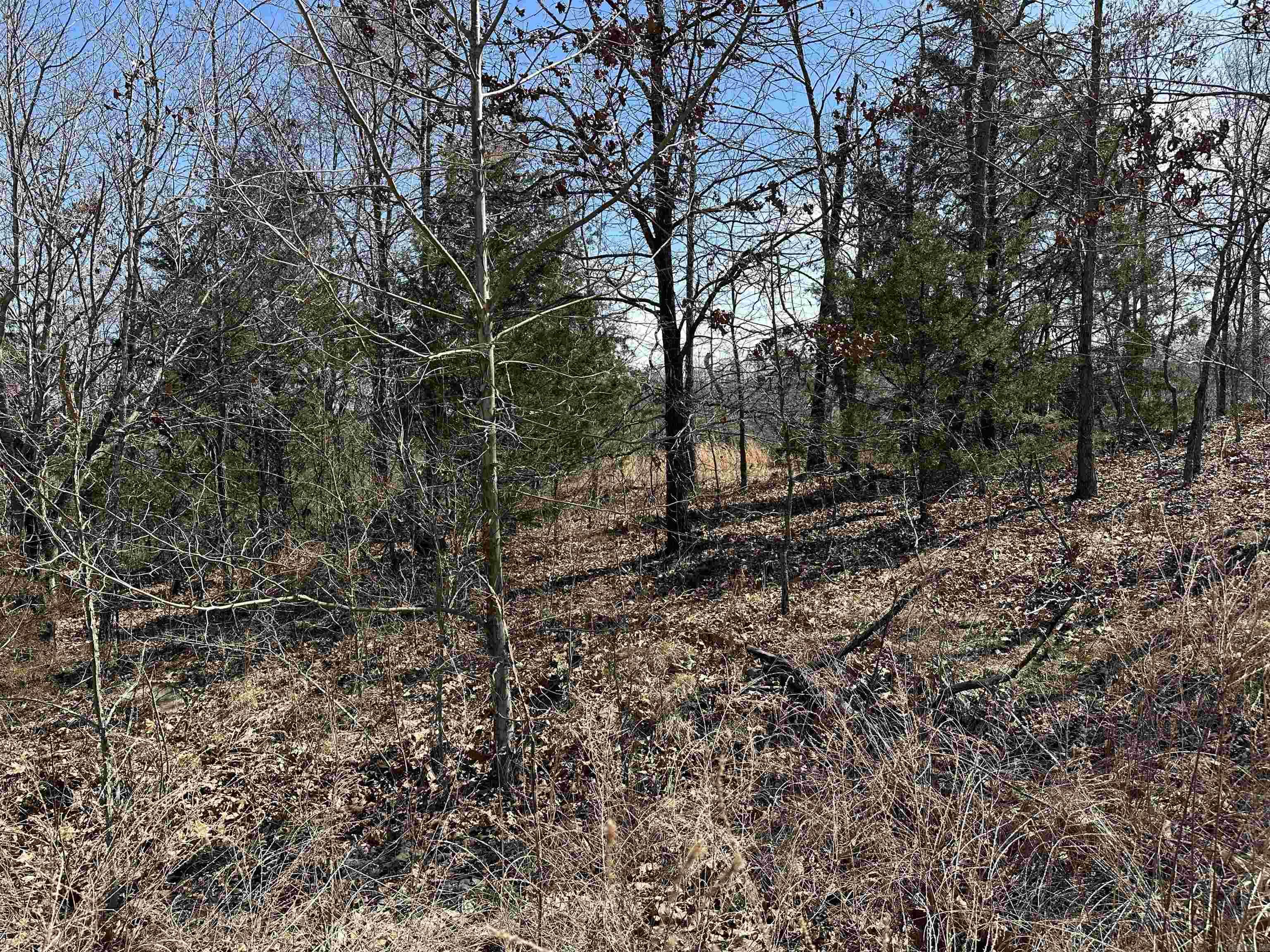 Lot 2 Deer Meadows Lane  Yellville, AR
