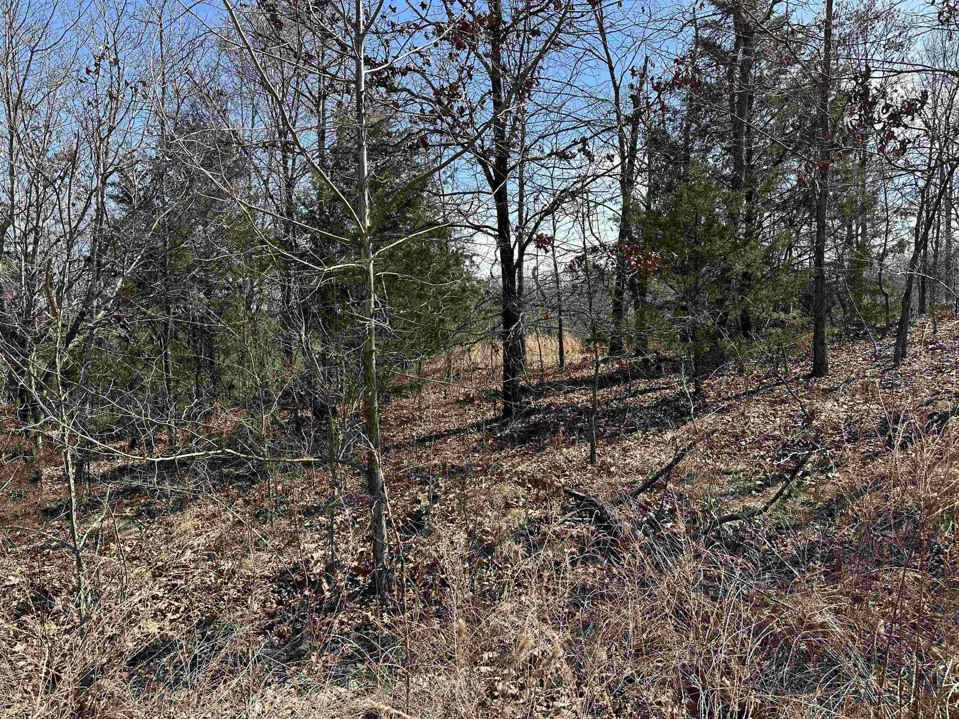 Lot 2  Deer Meadows Lane  Yellville, AR