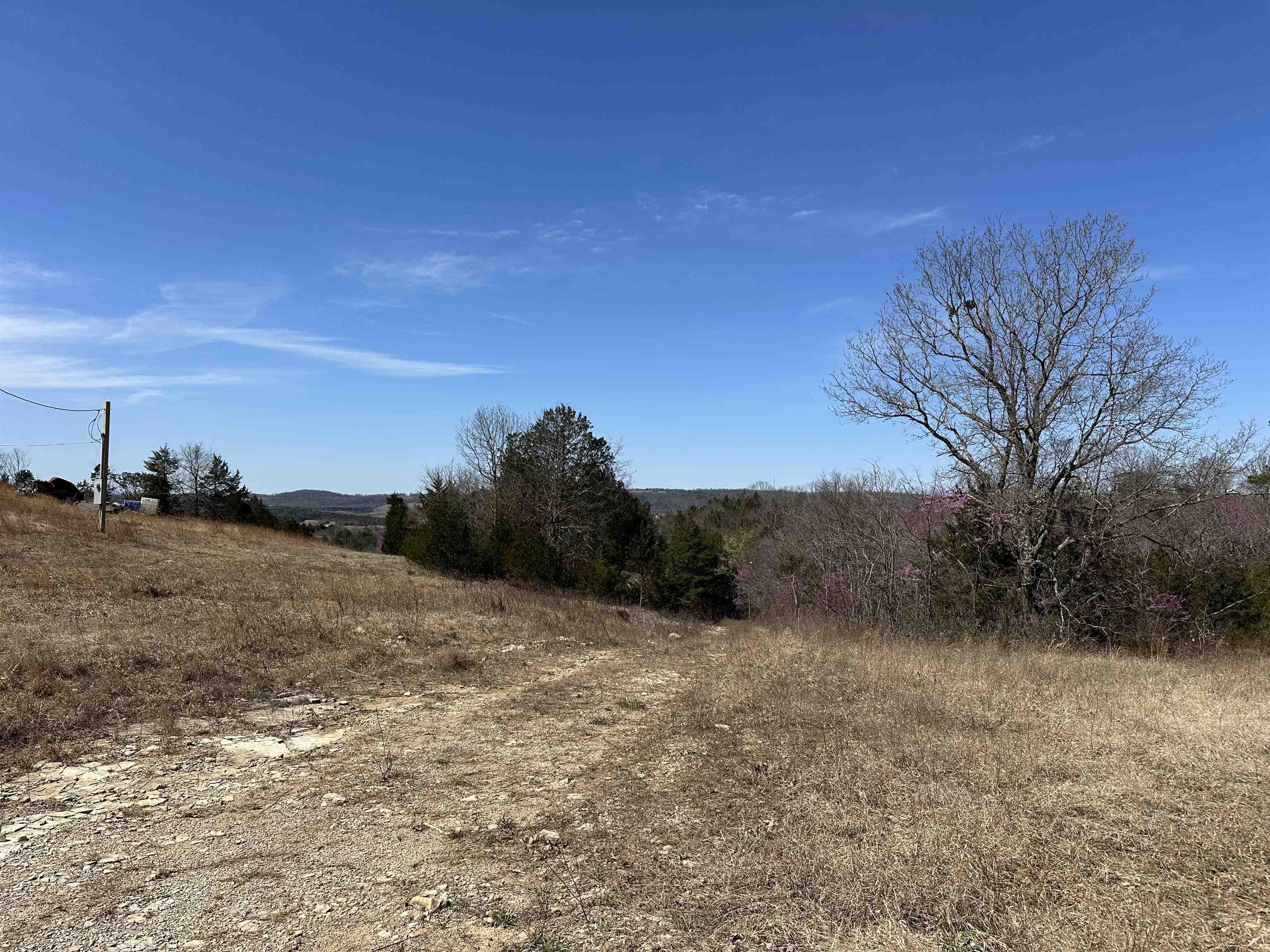 Tract 3  Deer Meadows Lane  Yellville, AR