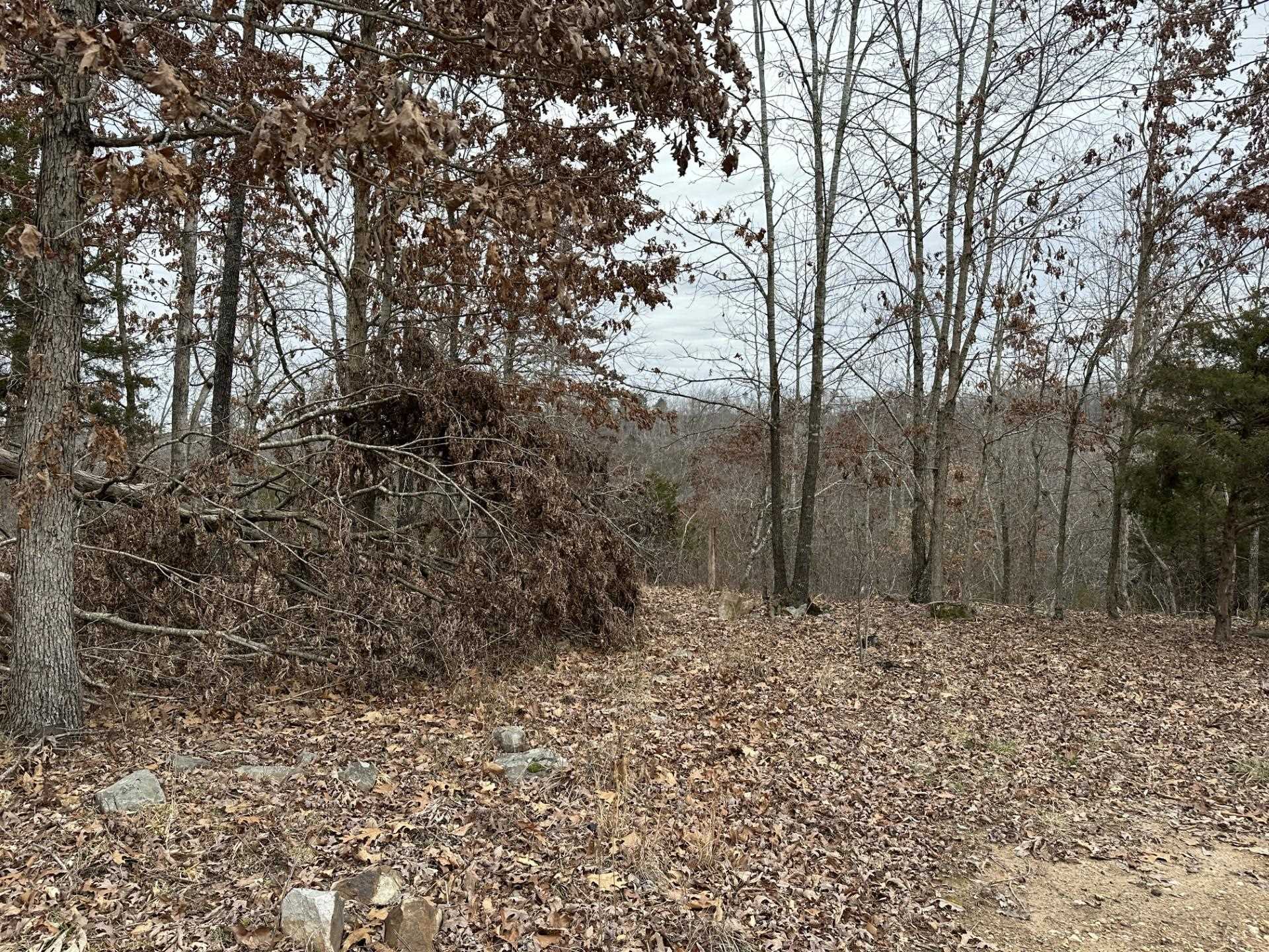 Tract 3  Deer Meadows Lane  Yellville, AR