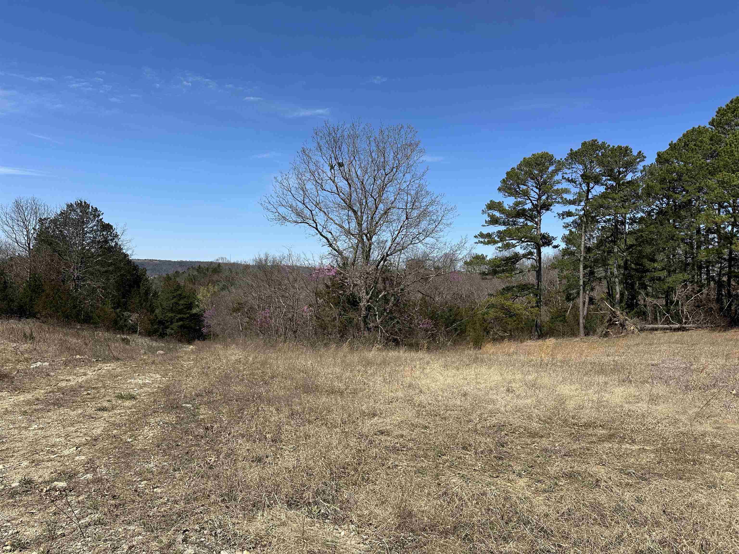 Tract 3  Deer Meadows Lane  Yellville, AR