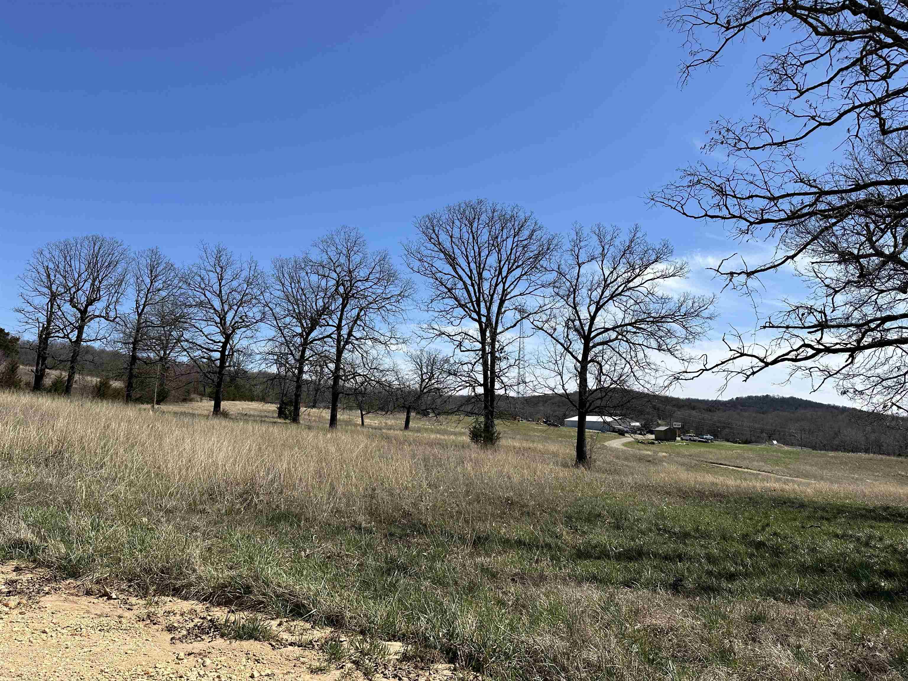 Lot 4  Deer Meadows Lane  Yellville, AR