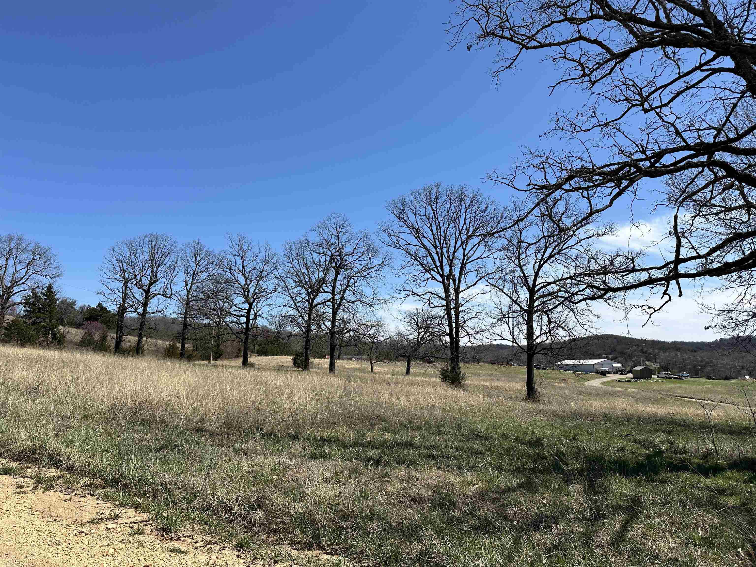 Lot 4  Deer Meadows Lane  Yellville, AR