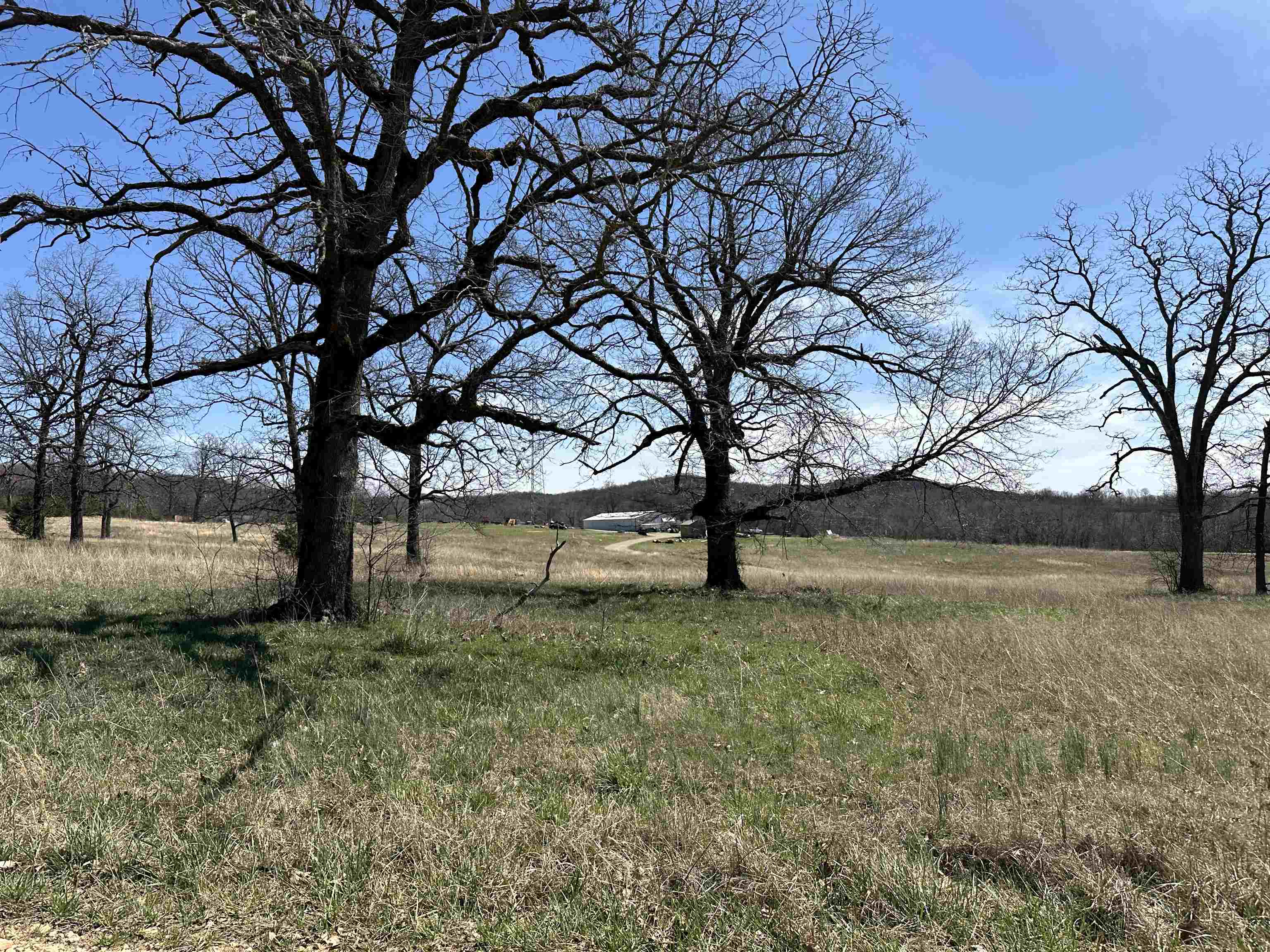 Lot 4  Deer Meadows Lane  Yellville, AR