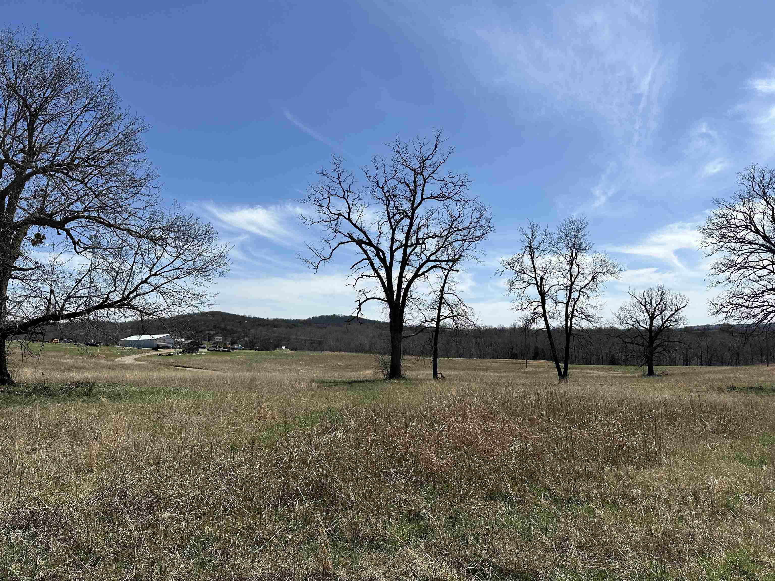 Lot 4  Deer Meadows Lane  Yellville, AR