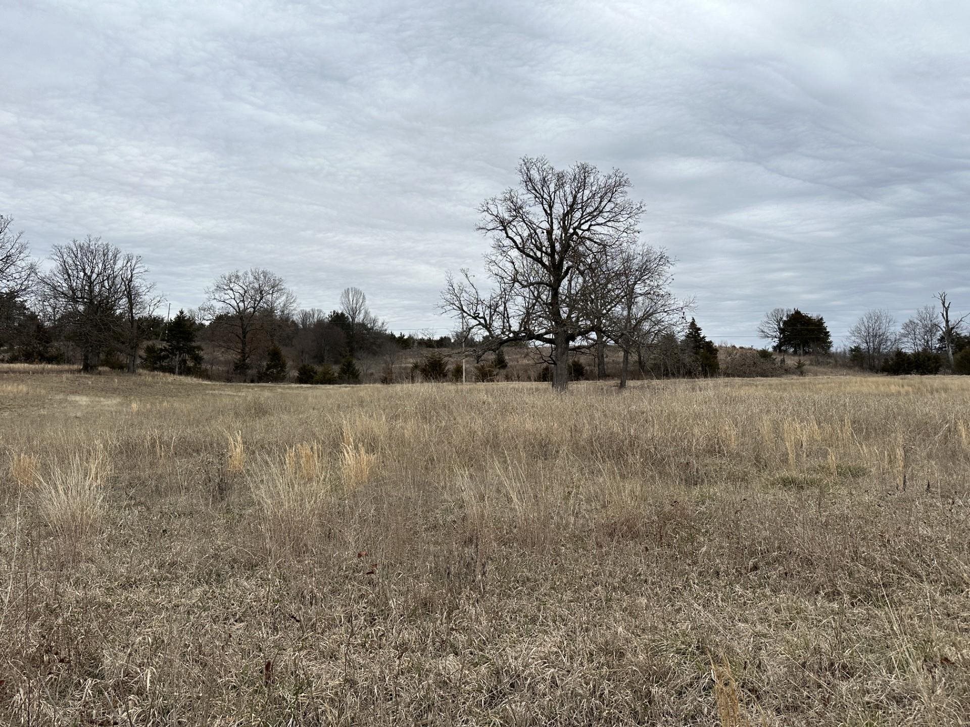 Lot 4  Deer Meadows Lane  Yellville, AR