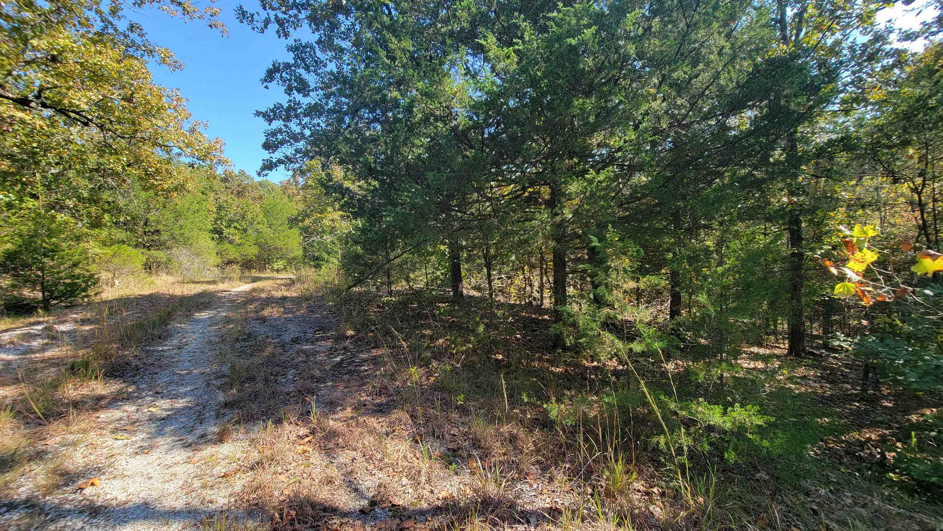 L22 B9  Lochloosa  Cherokee Village, AR