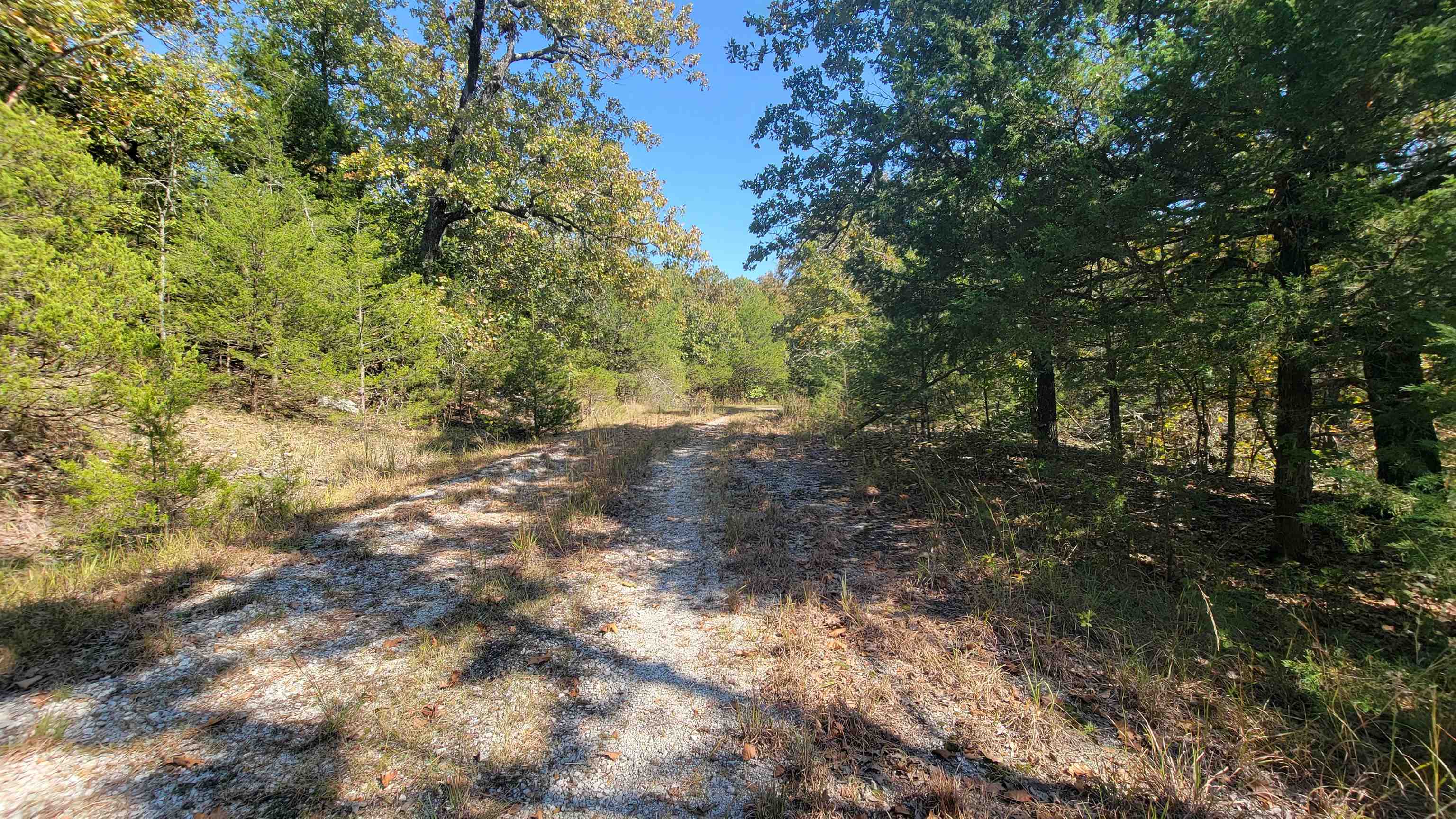 L47 B11  Pahokee  Cherokee Village, AR