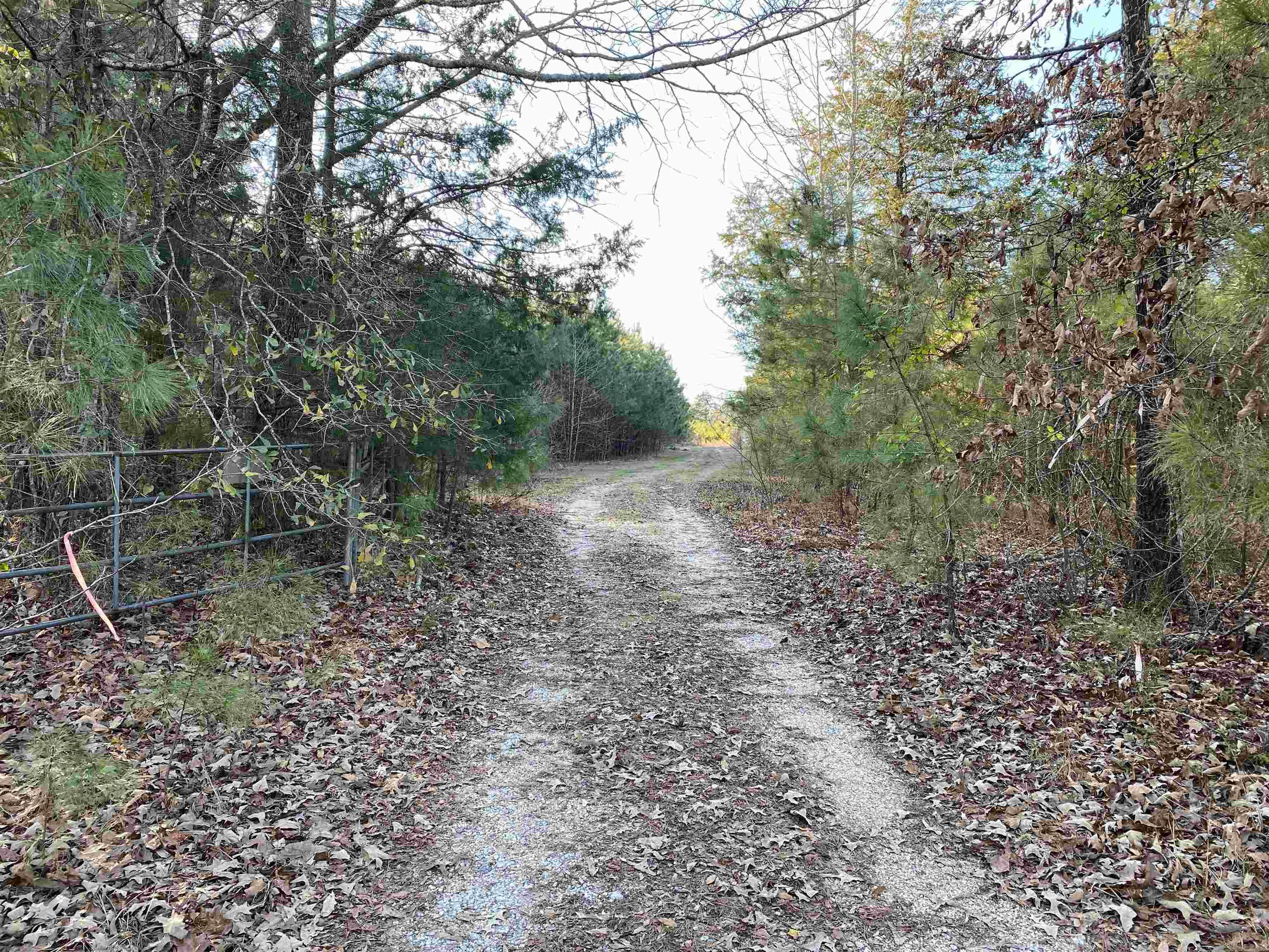 4631 Hwy 229