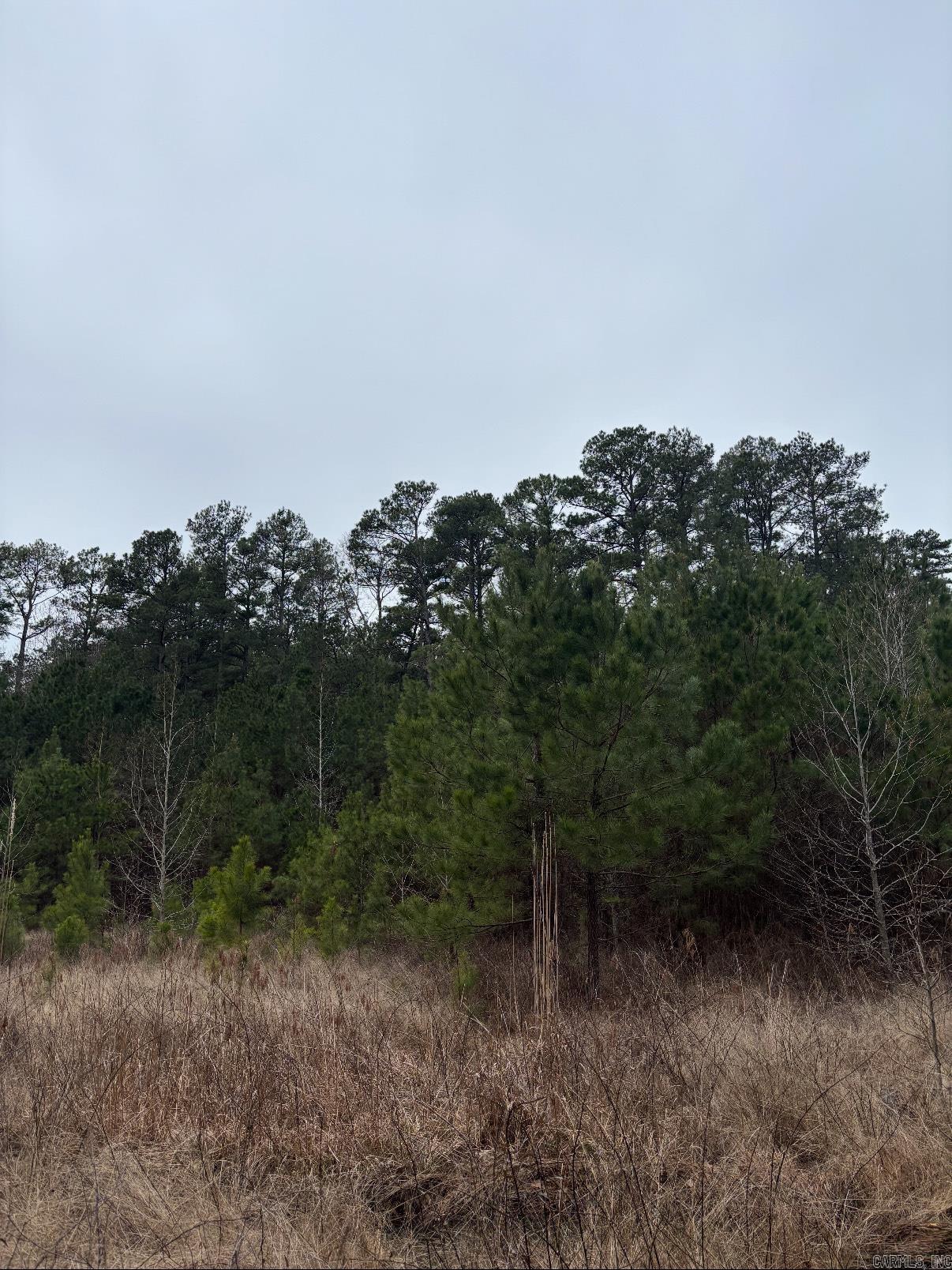 486 N Bradley 166  Warren, AR