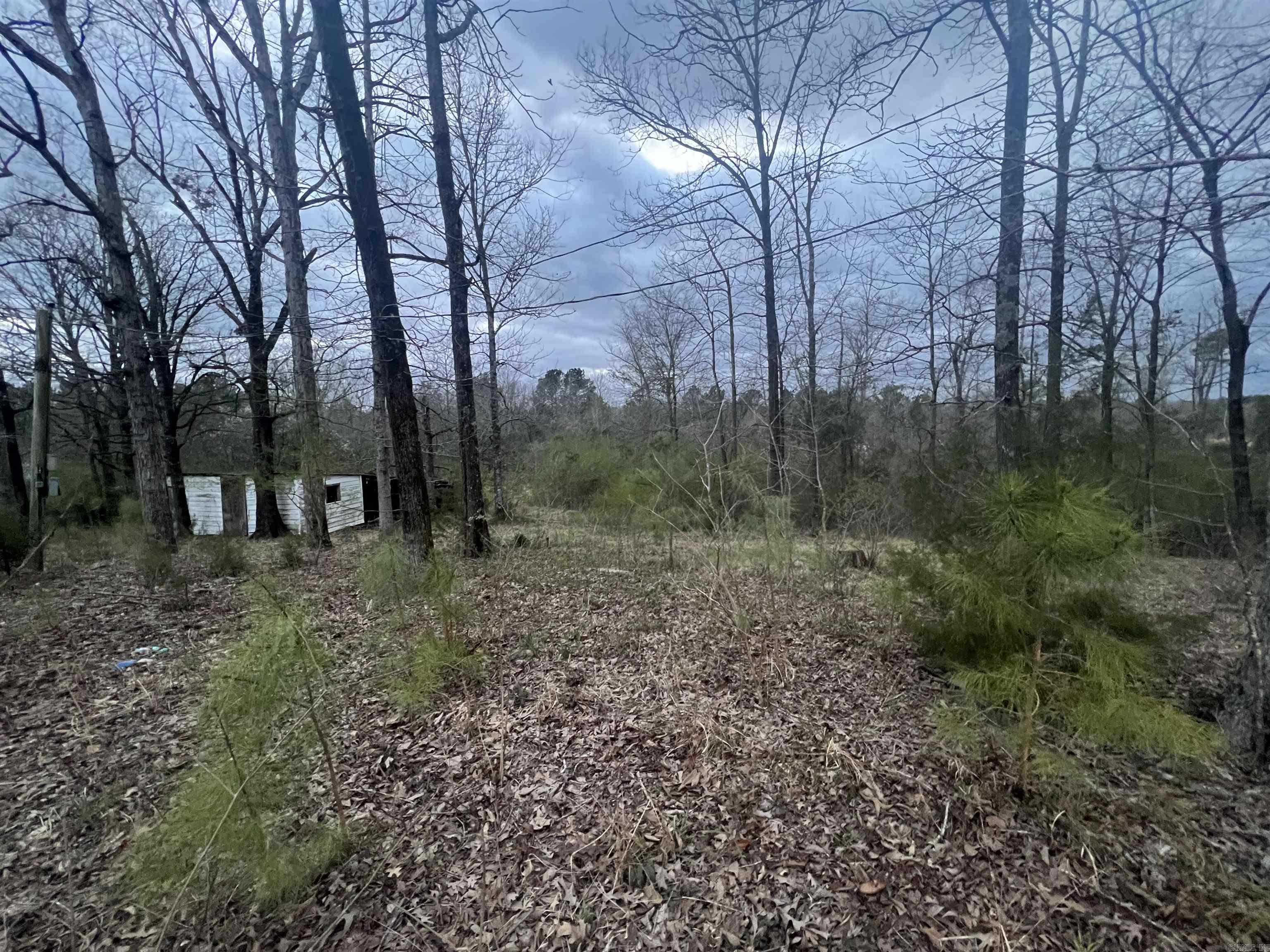 325  Crosstrails rd  De Queen, AR