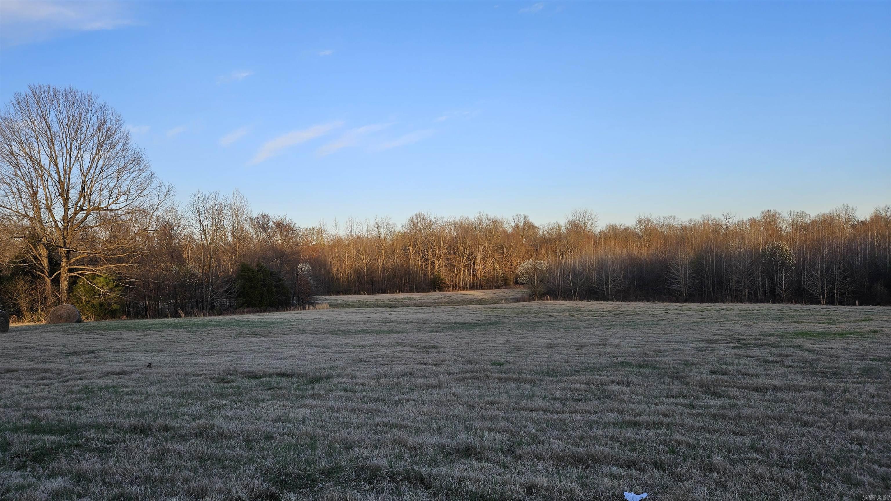 299  Cr 417  Rector, AR