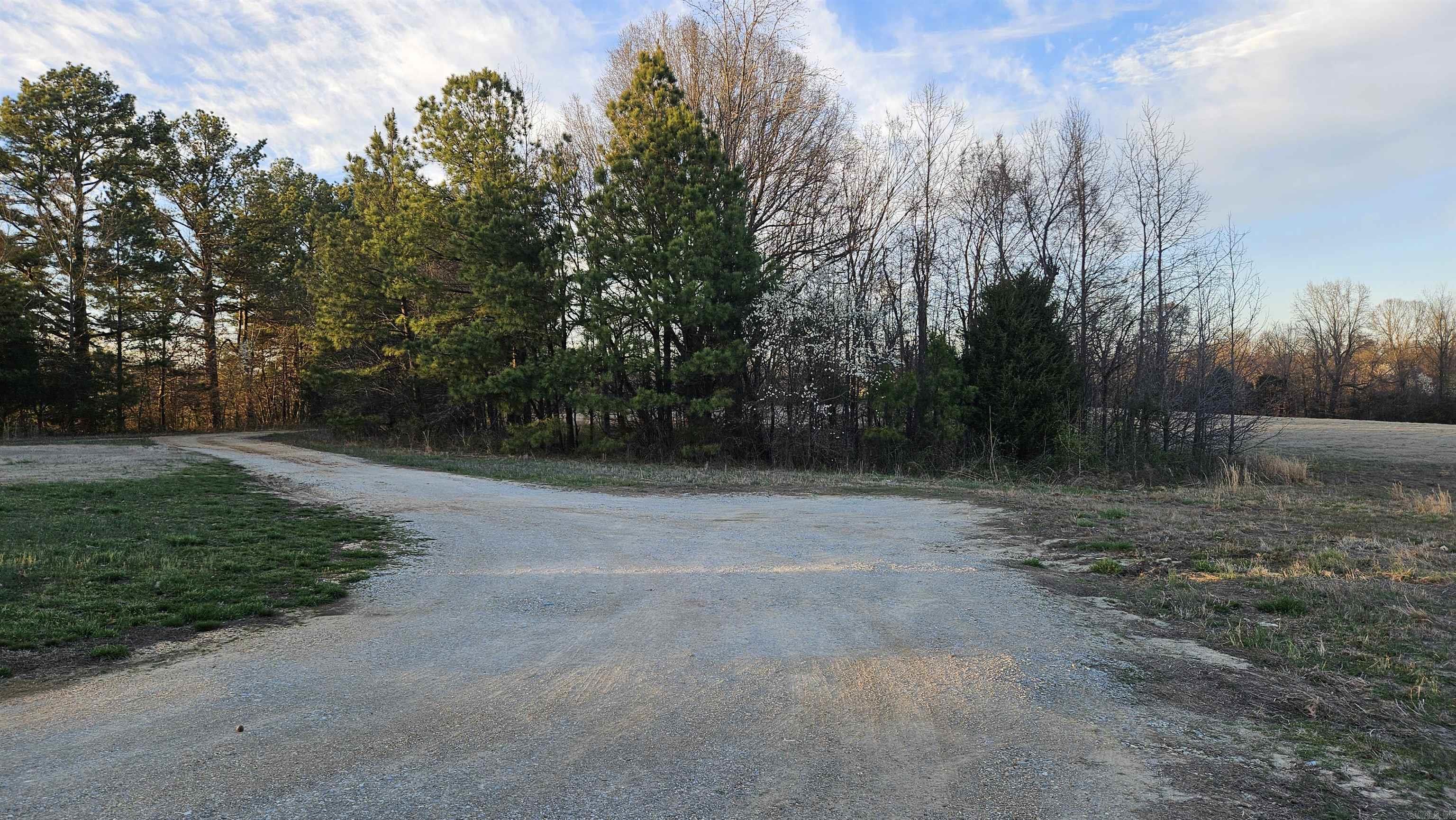 299  Cr 417  Rector, AR