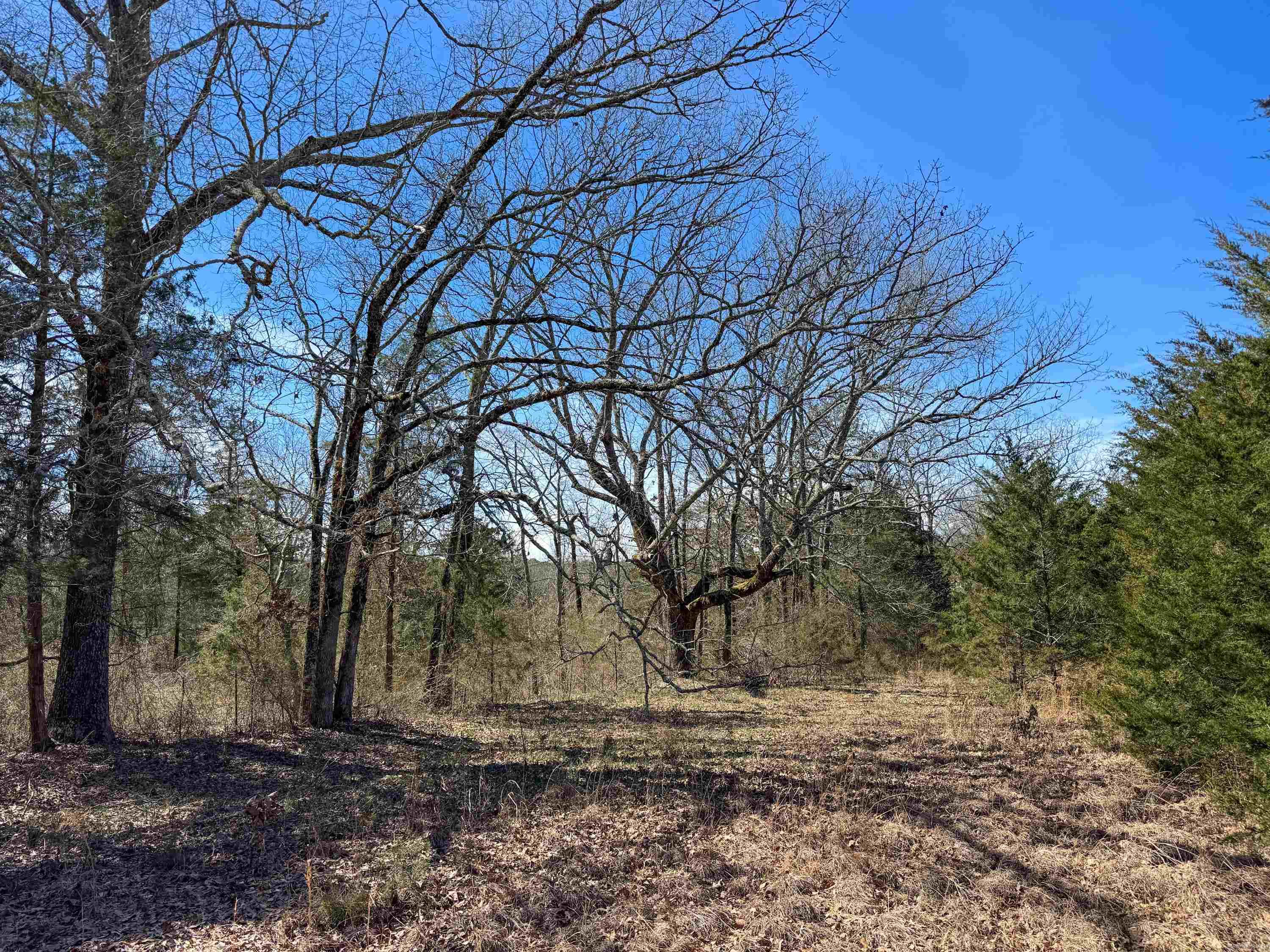 1461  Fairbanks  Bee Branch, AR
