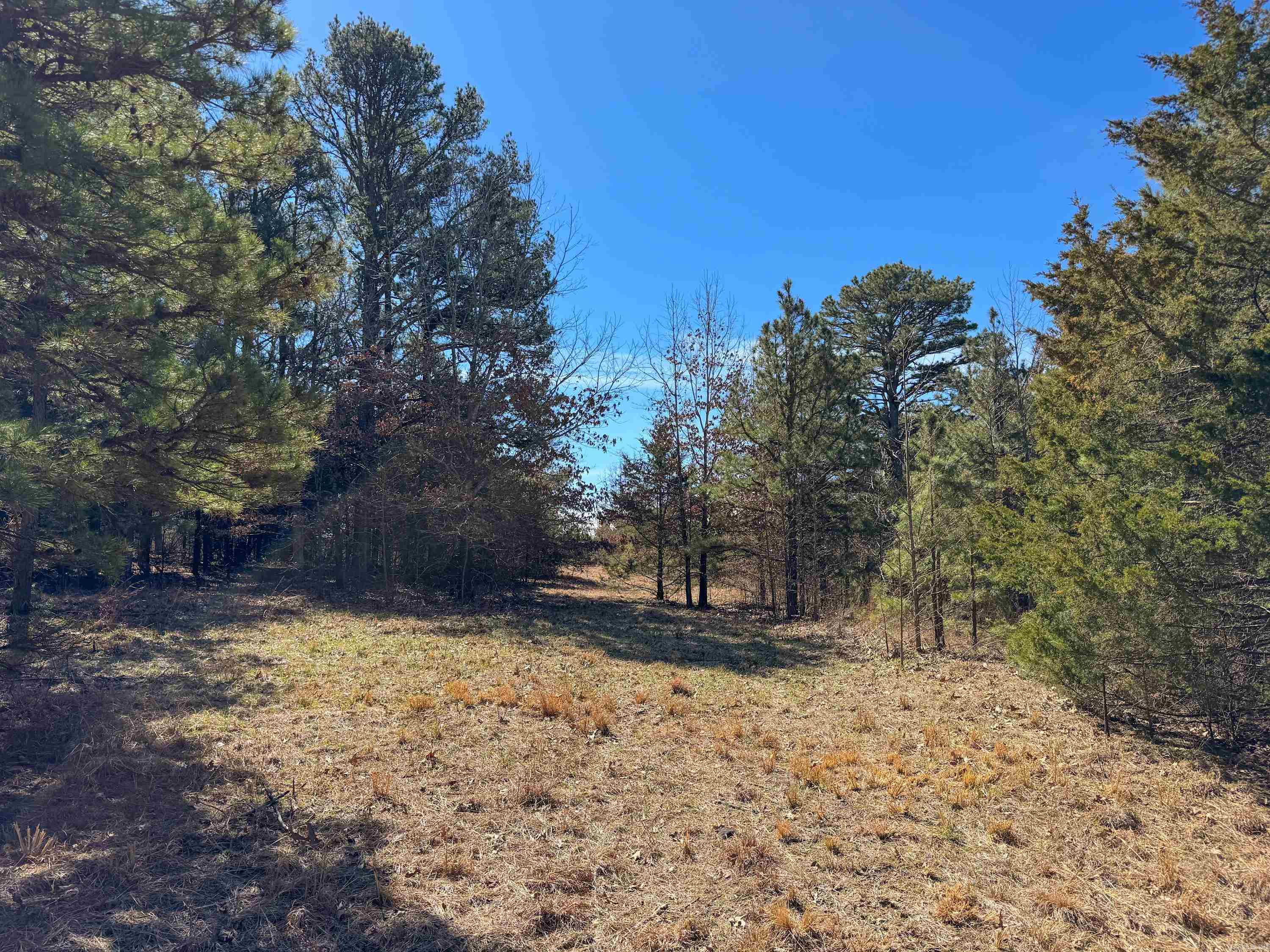 1461  Fairbanks  Bee Branch, AR