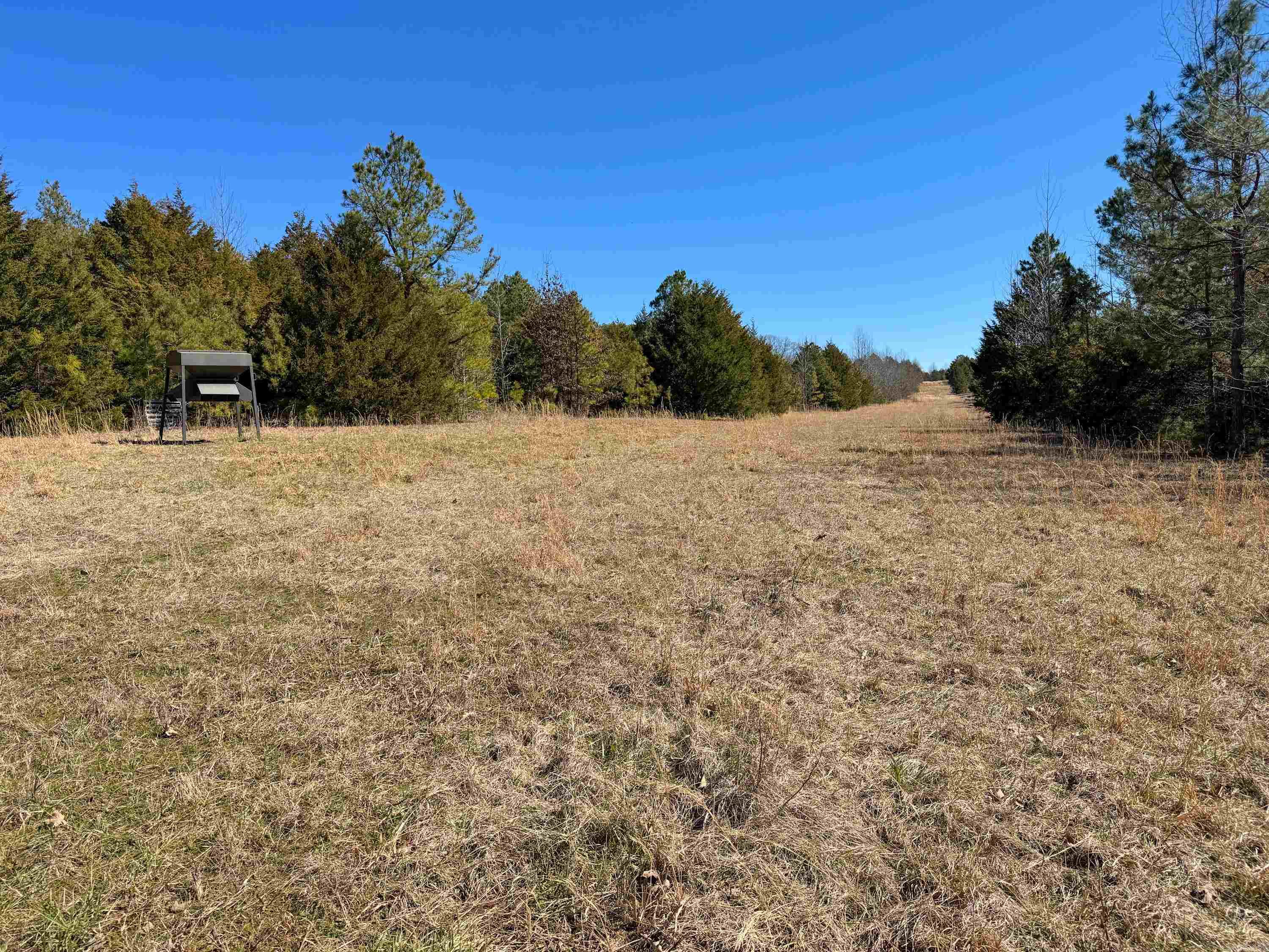 1461  Fairbanks  Bee Branch, AR