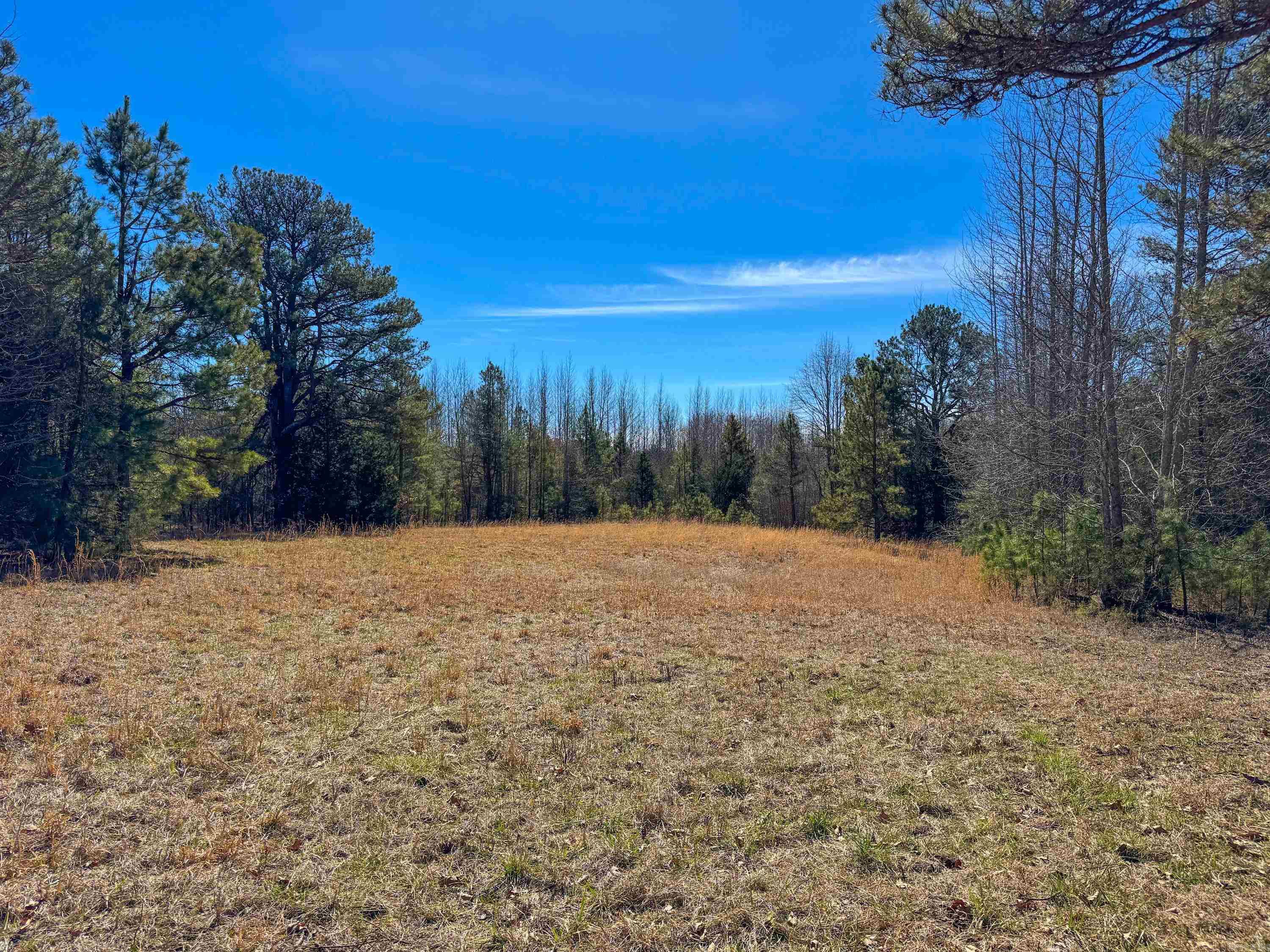 1461  Fairbanks  Bee Branch, AR