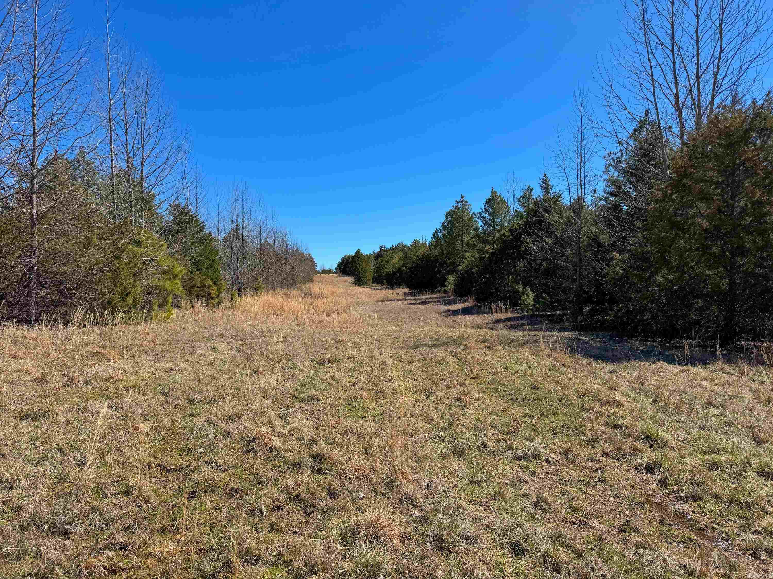 1461  Fairbanks  Bee Branch, AR