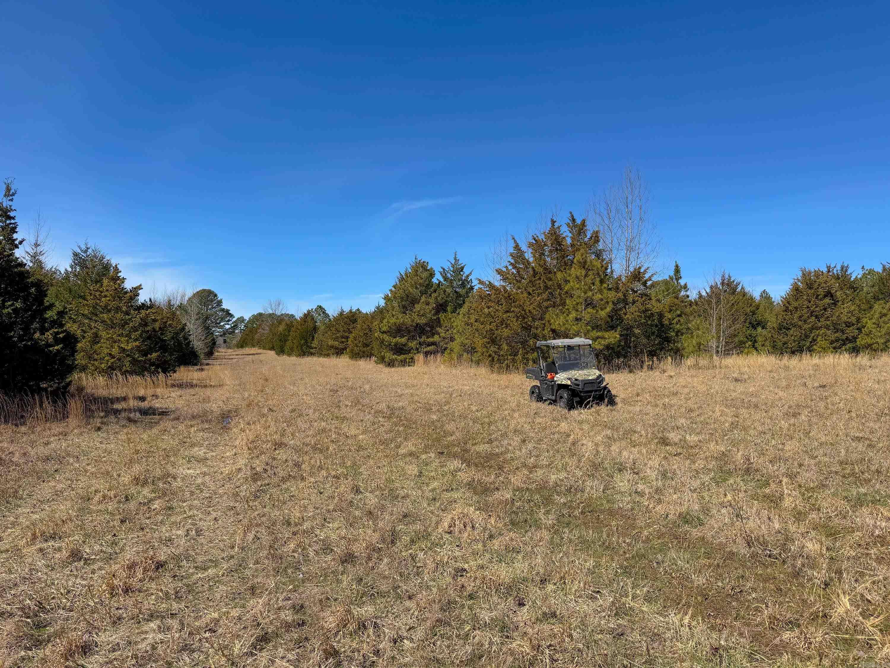 1461  Fairbanks  Bee Branch, AR
