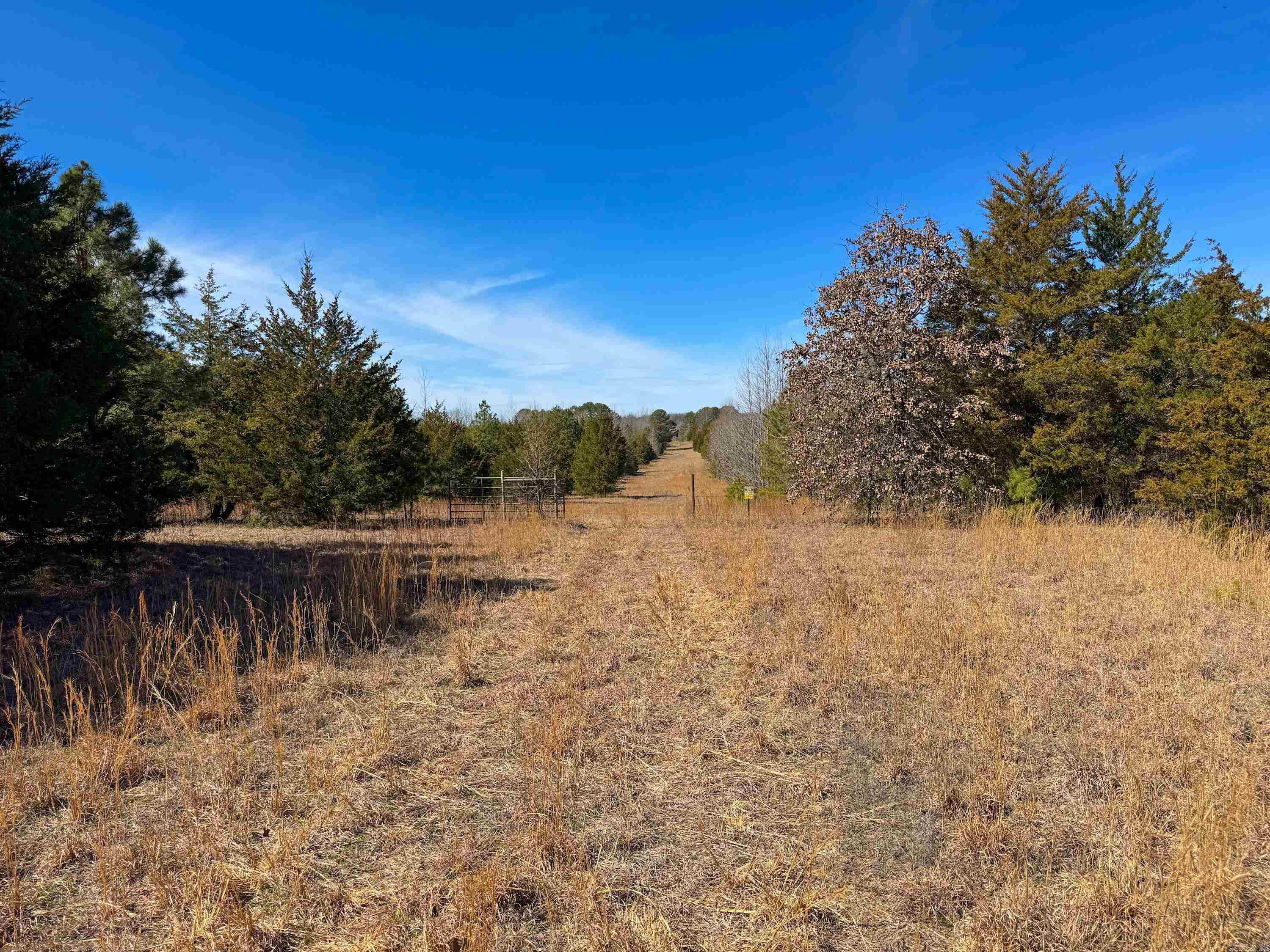 1461  Fairbanks  Bee Branch, AR