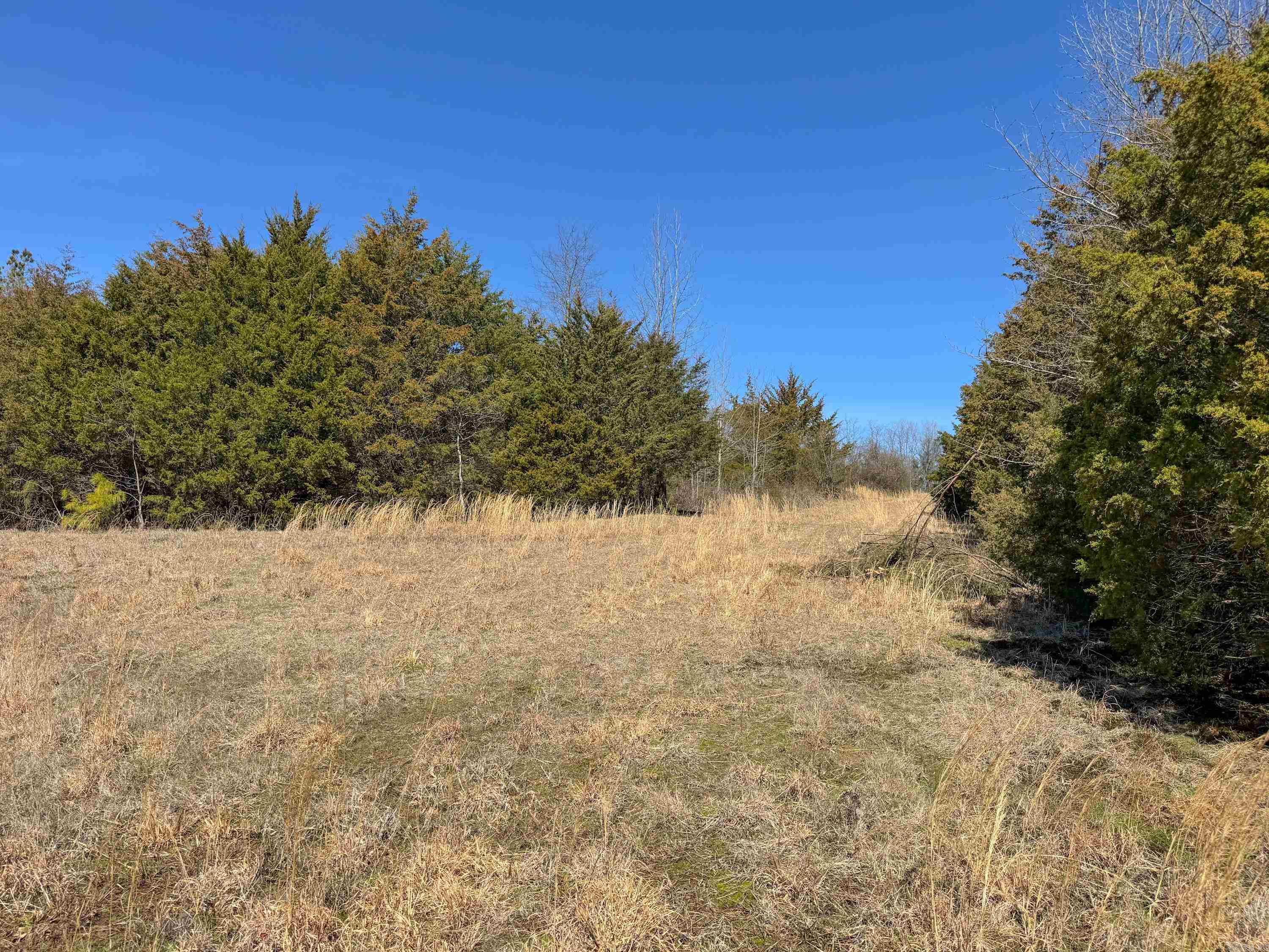 1461  Fairbanks  Bee Branch, AR