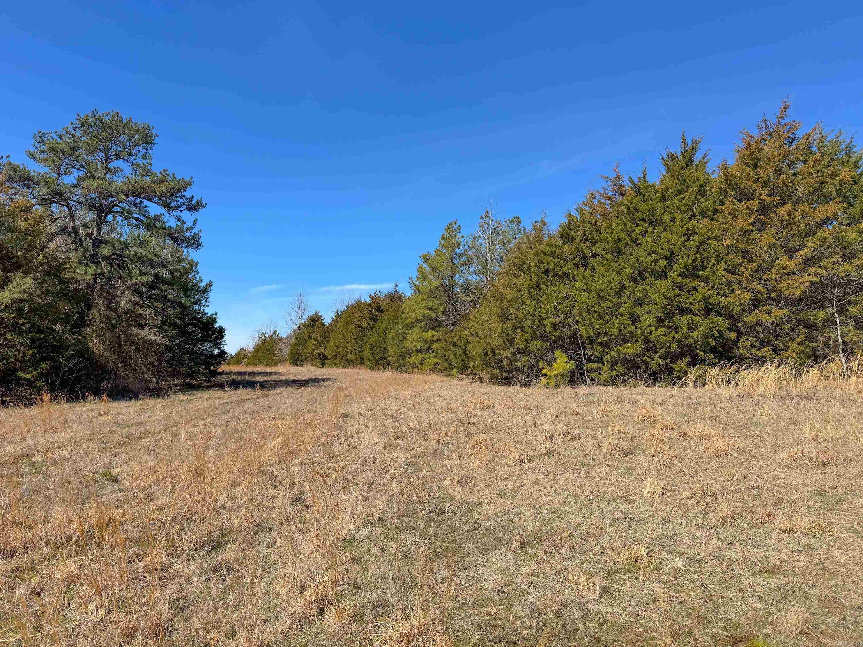 1461  Fairbanks  Bee Branch, AR