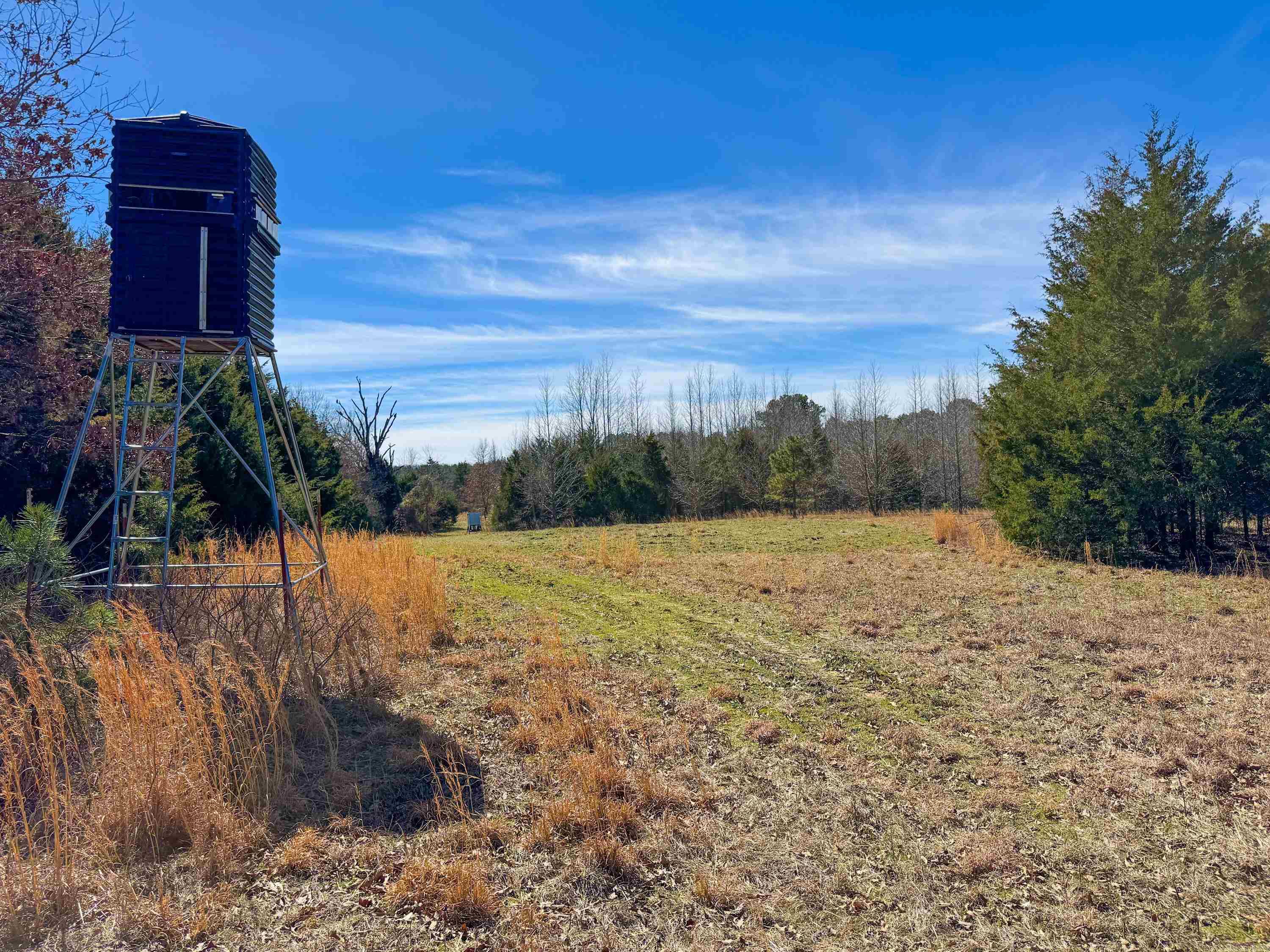 1461  Fairbanks  Bee Branch, AR