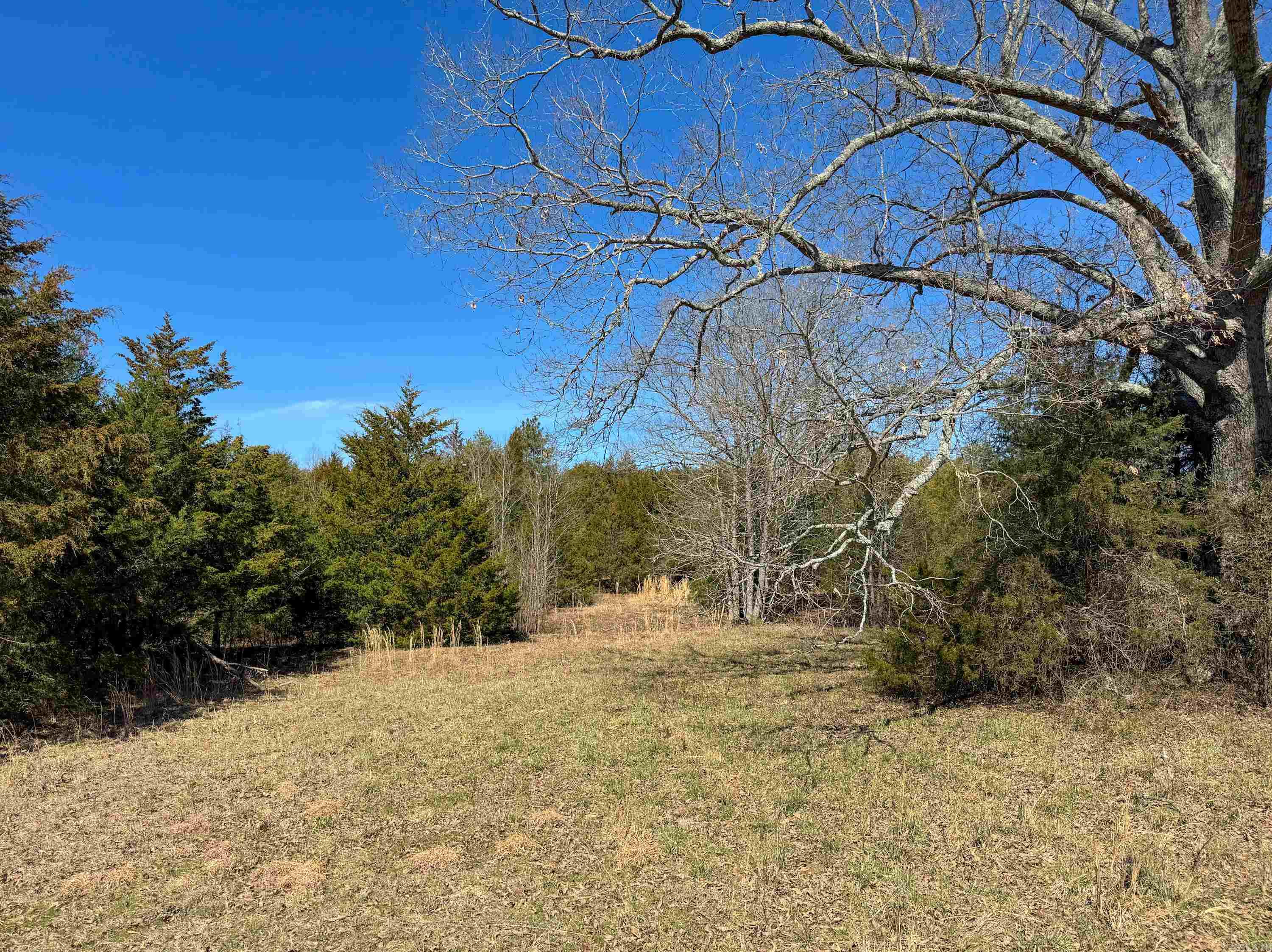 1461  Fairbanks  Bee Branch, AR