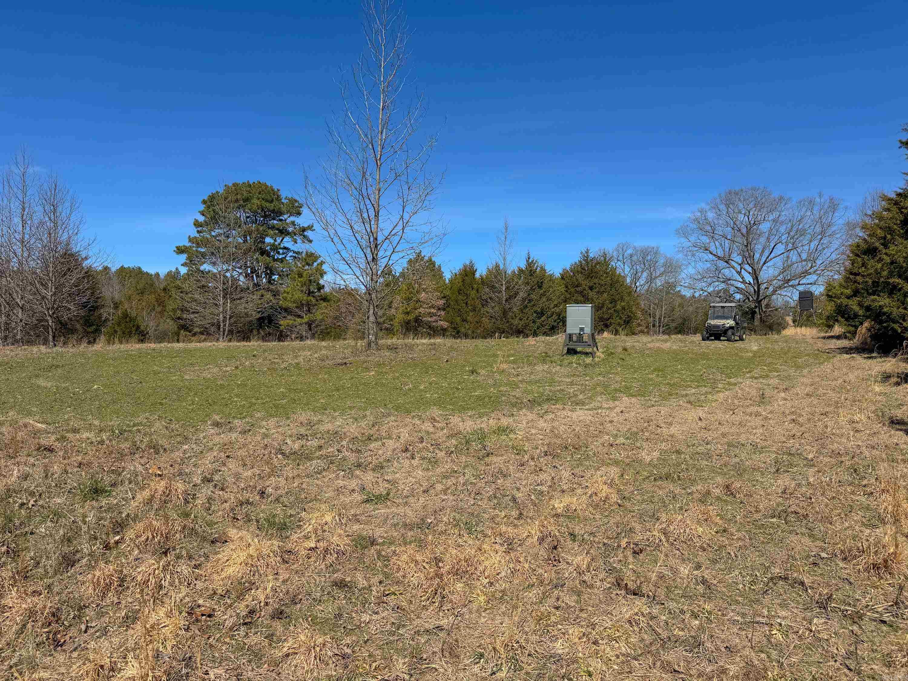 1461  Fairbanks  Bee Branch, AR