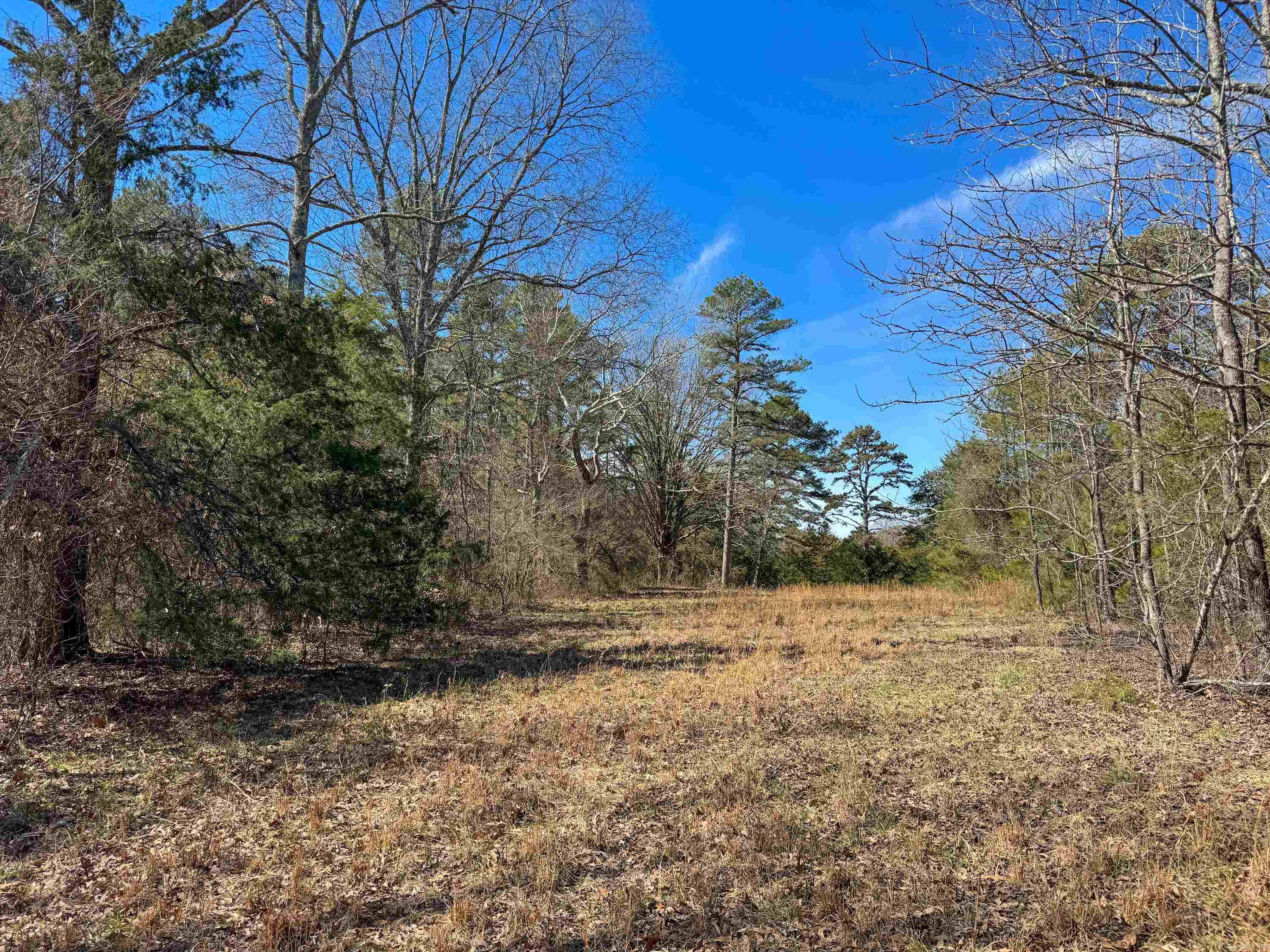 1461  Fairbanks  Bee Branch, AR