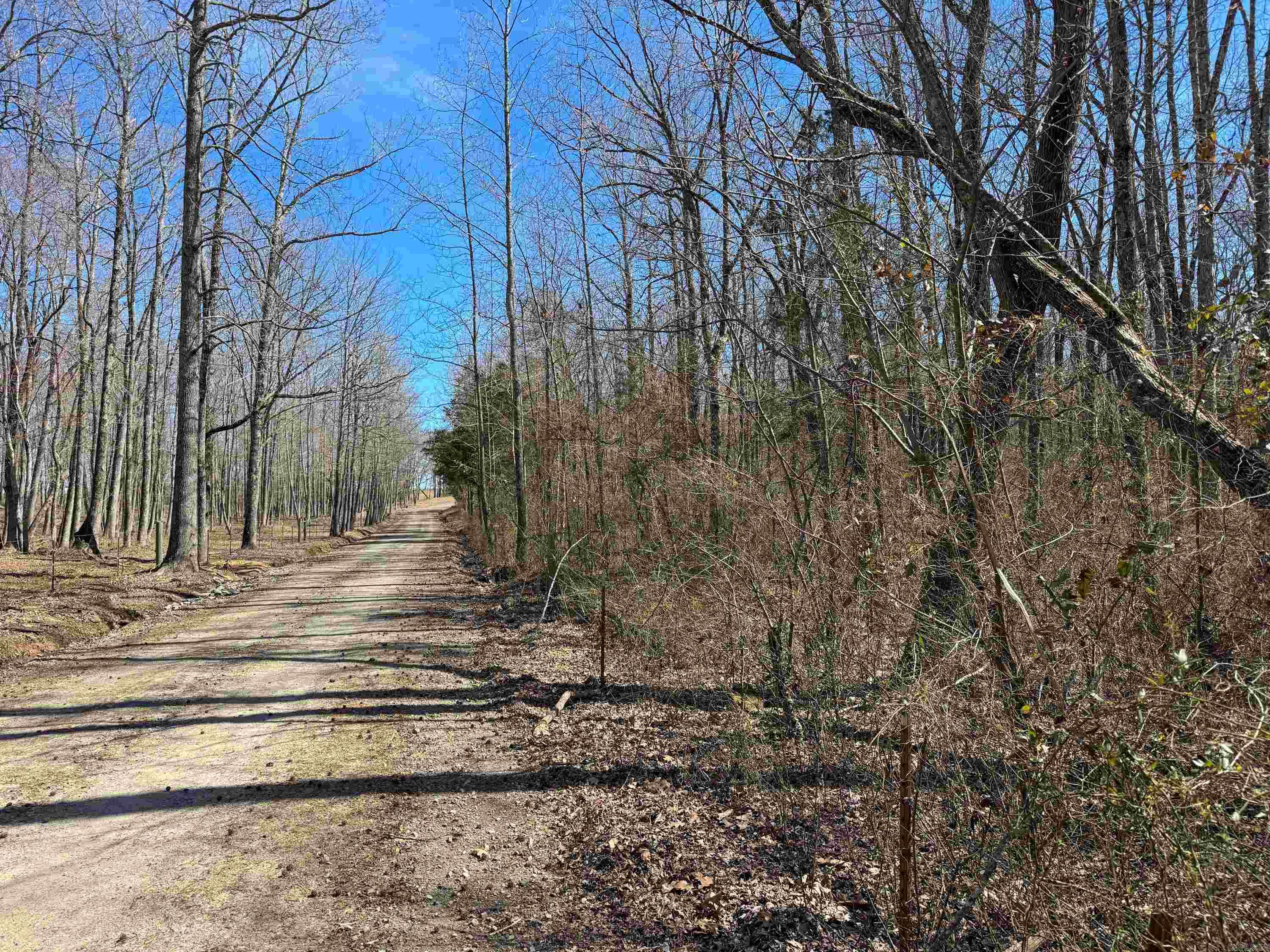 1461  Fairbanks  Bee Branch, AR
