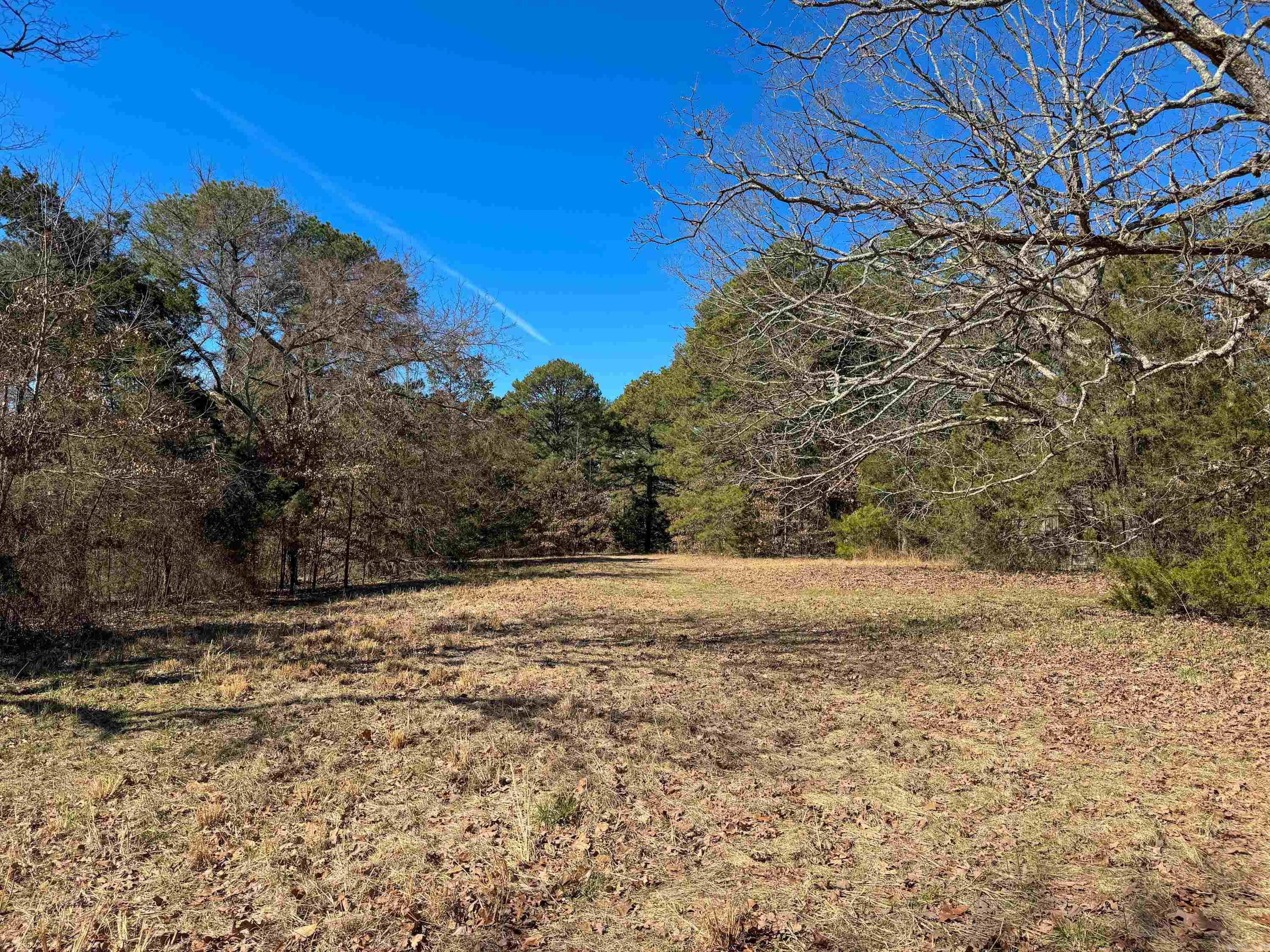 1461  Fairbanks  Bee Branch, AR