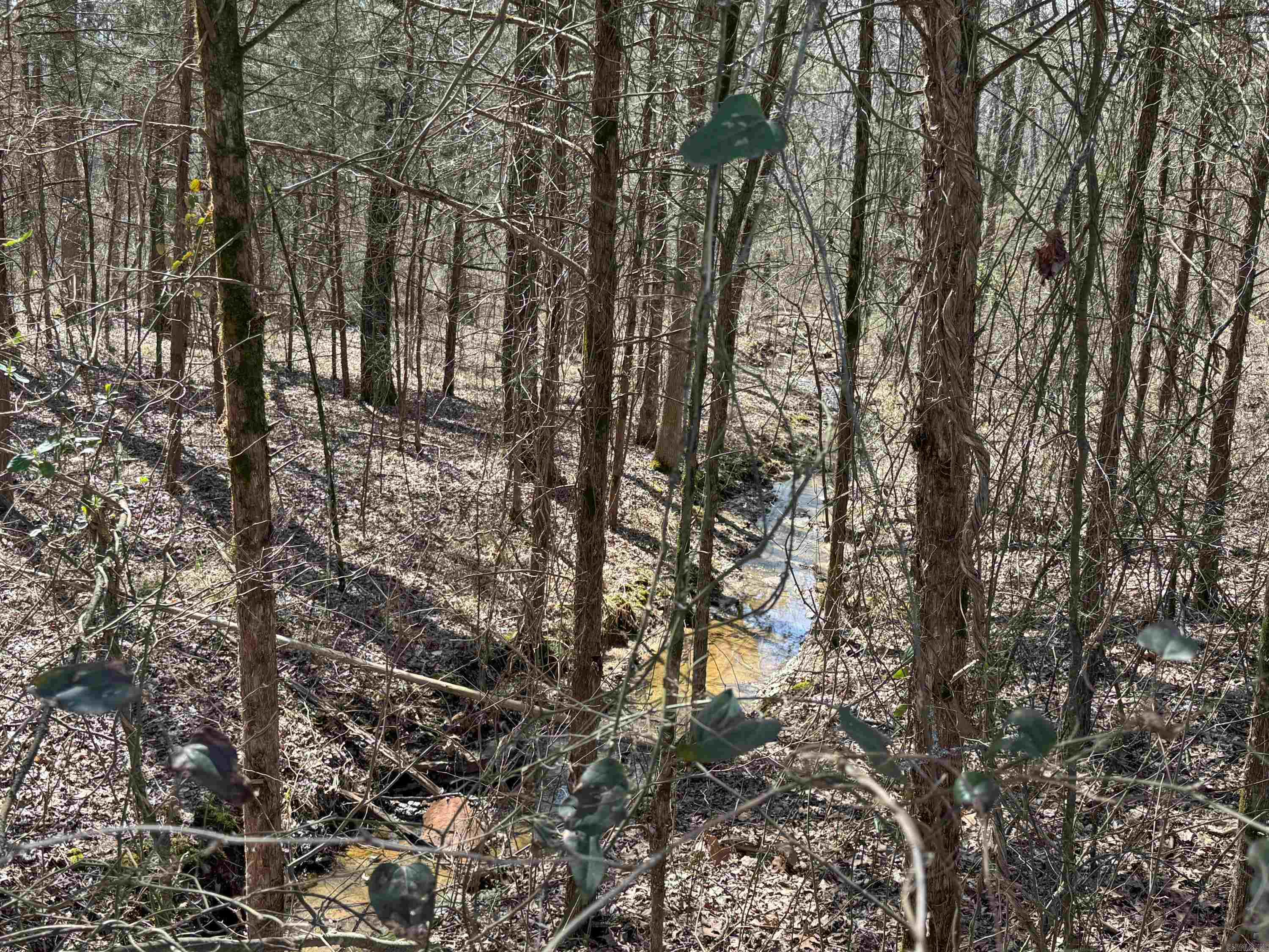 1461  Fairbanks  Bee Branch, AR