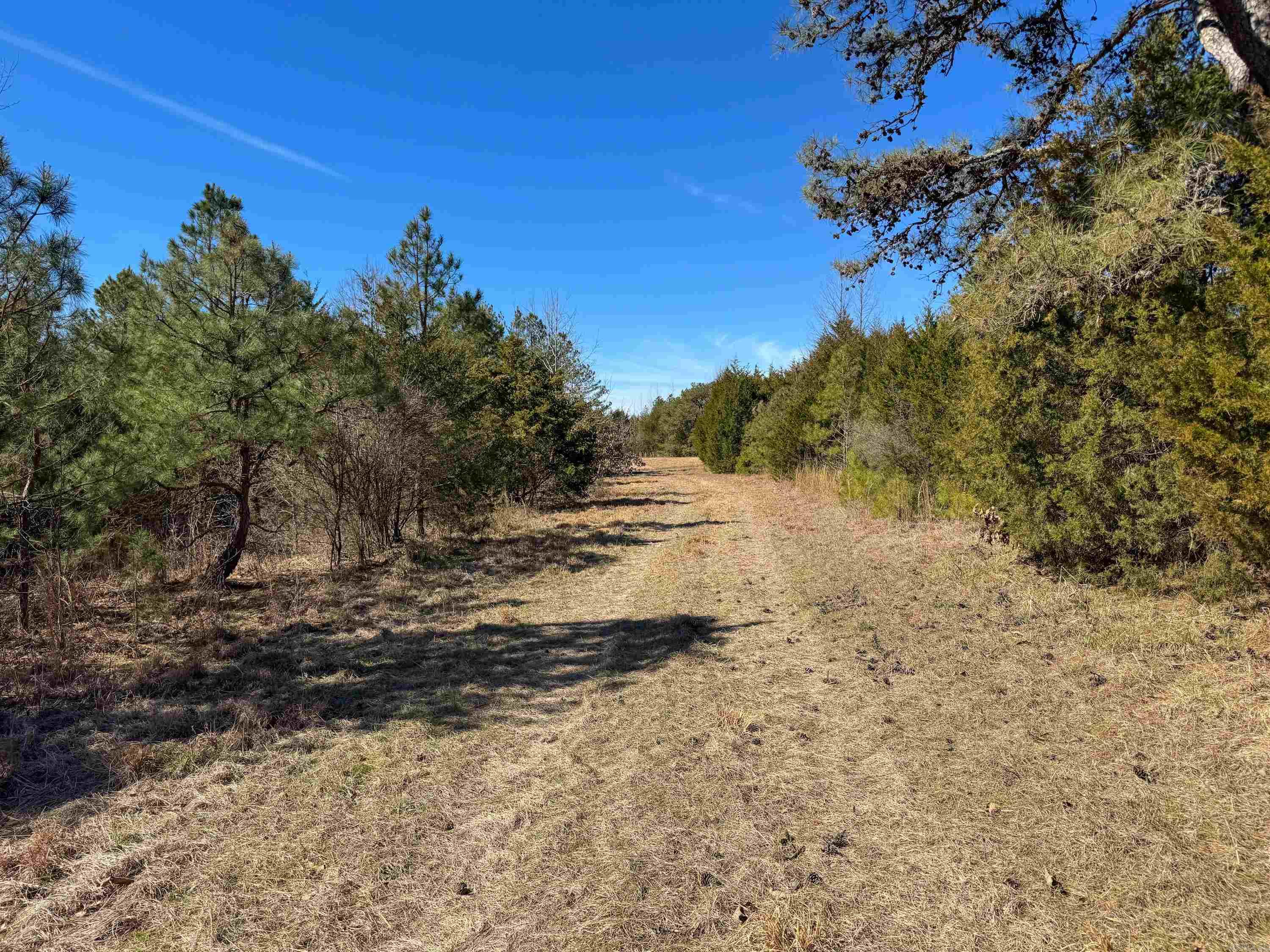 1461  Fairbanks  Bee Branch, AR