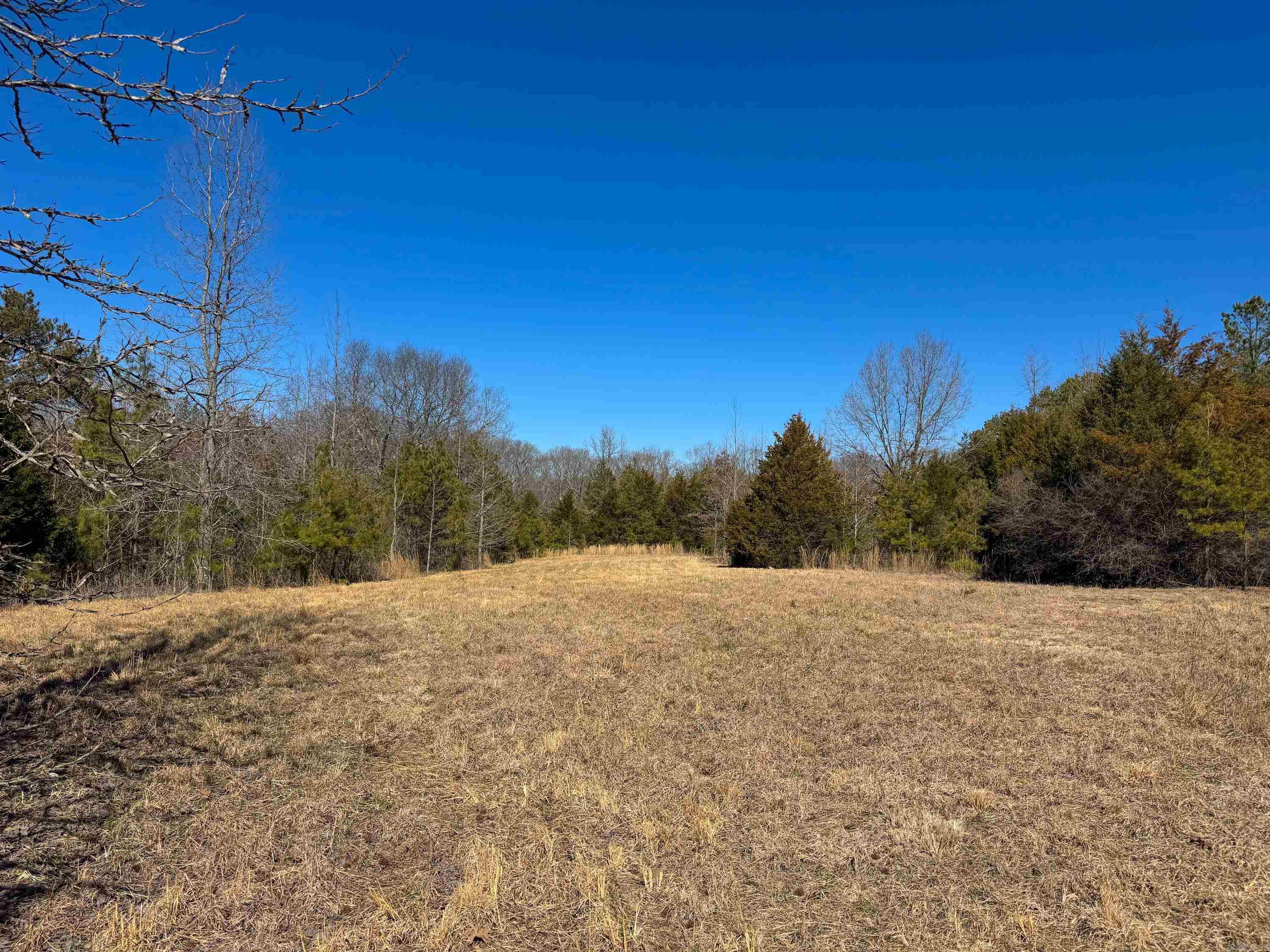 1461  Fairbanks  Bee Branch, AR