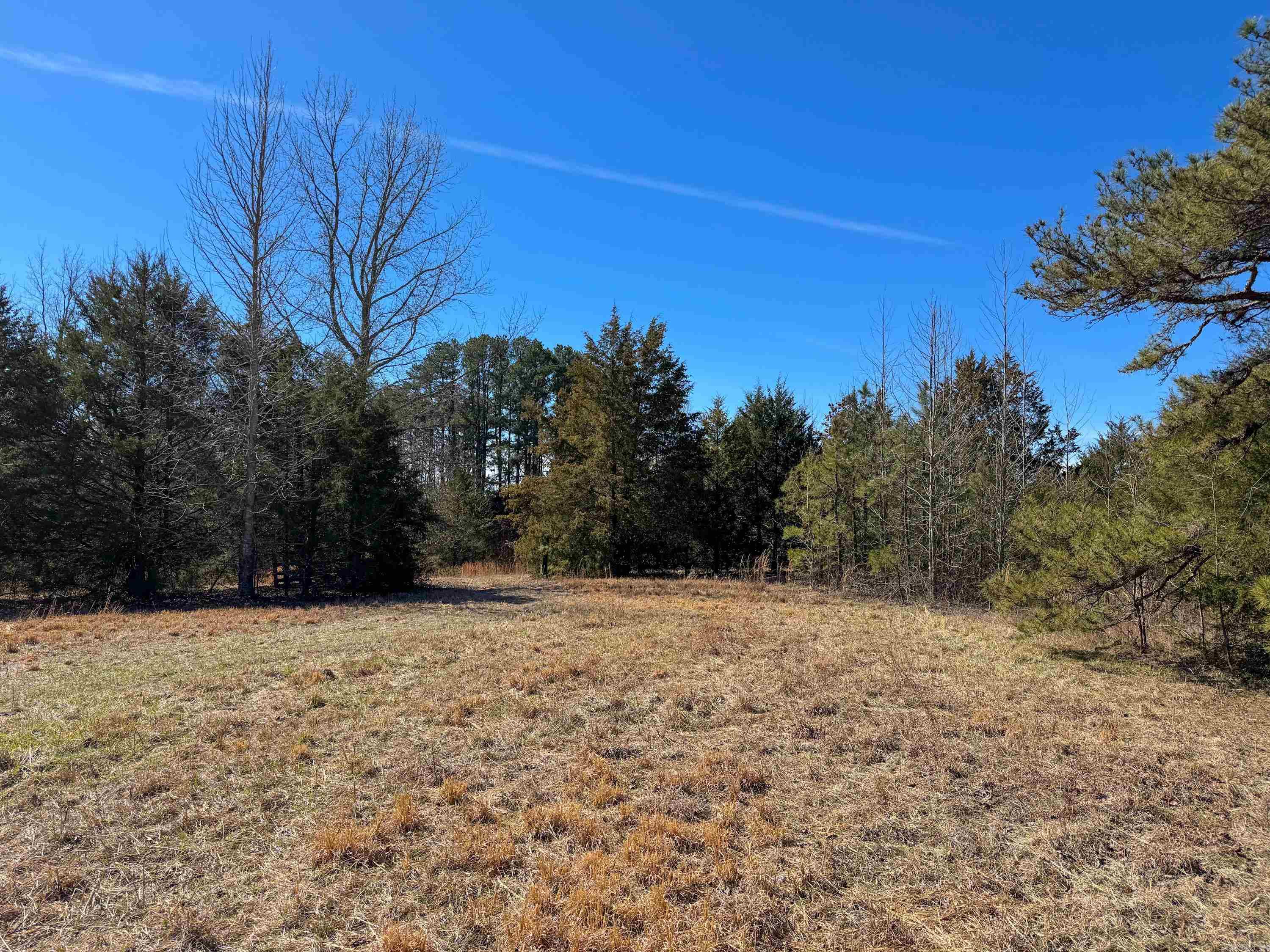 1461  Fairbanks  Bee Branch, AR