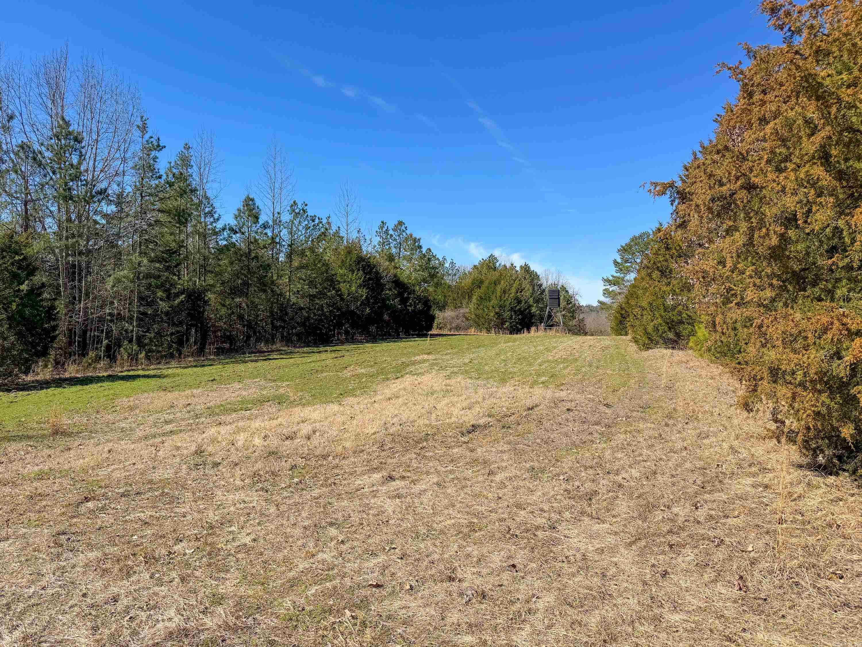 1461  Fairbanks  Bee Branch, AR
