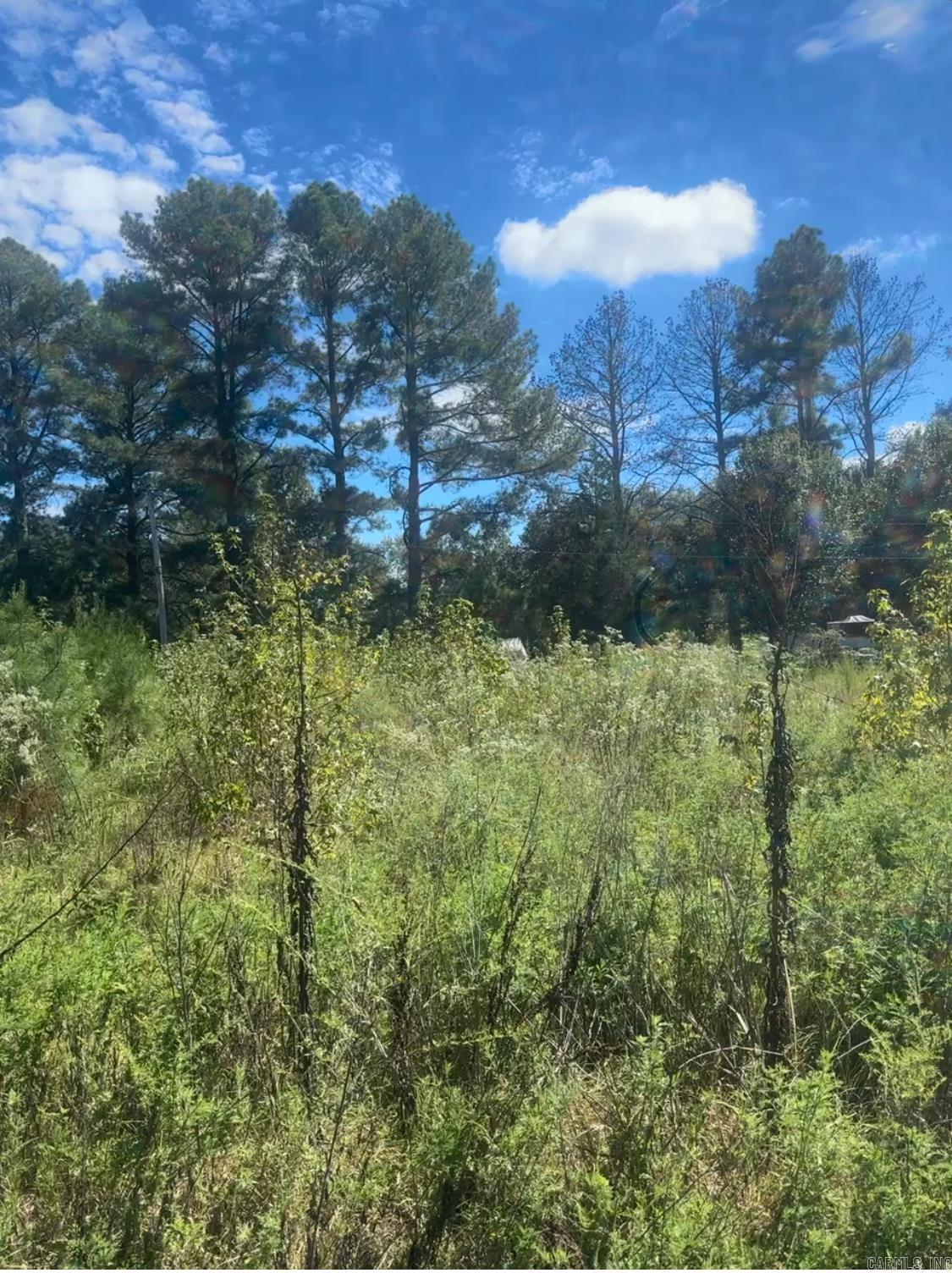 388  Bowen  Lonoke, AR