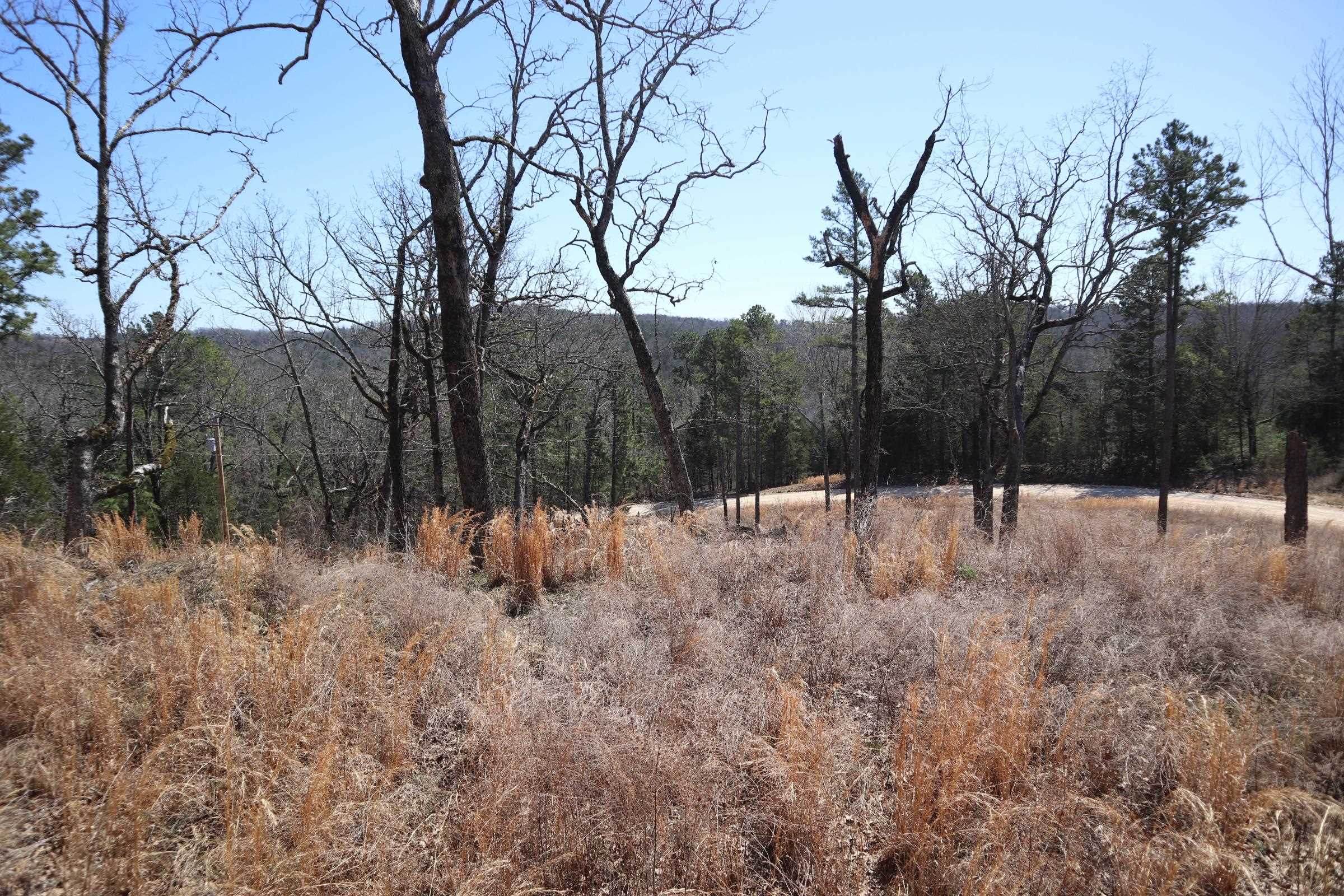 TBD  Glade Hill Rd  Elizabeth, AR