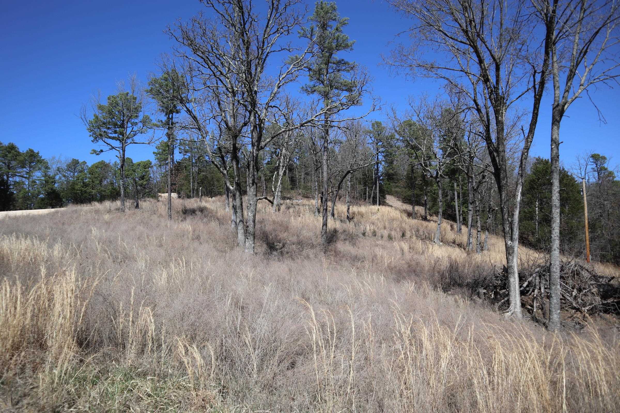 TBD  Glade Hill Rd  Elizabeth, AR