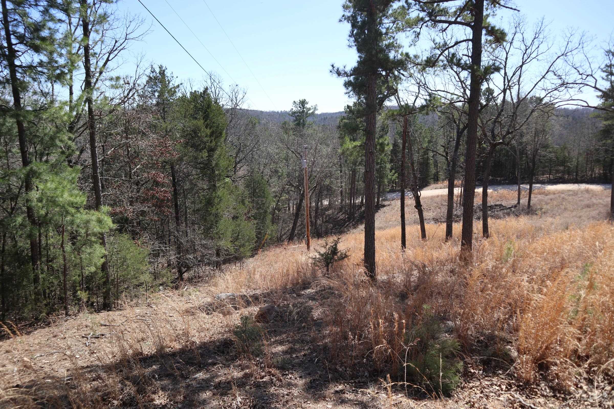 TBD  Glade Hill Rd  Elizabeth, AR