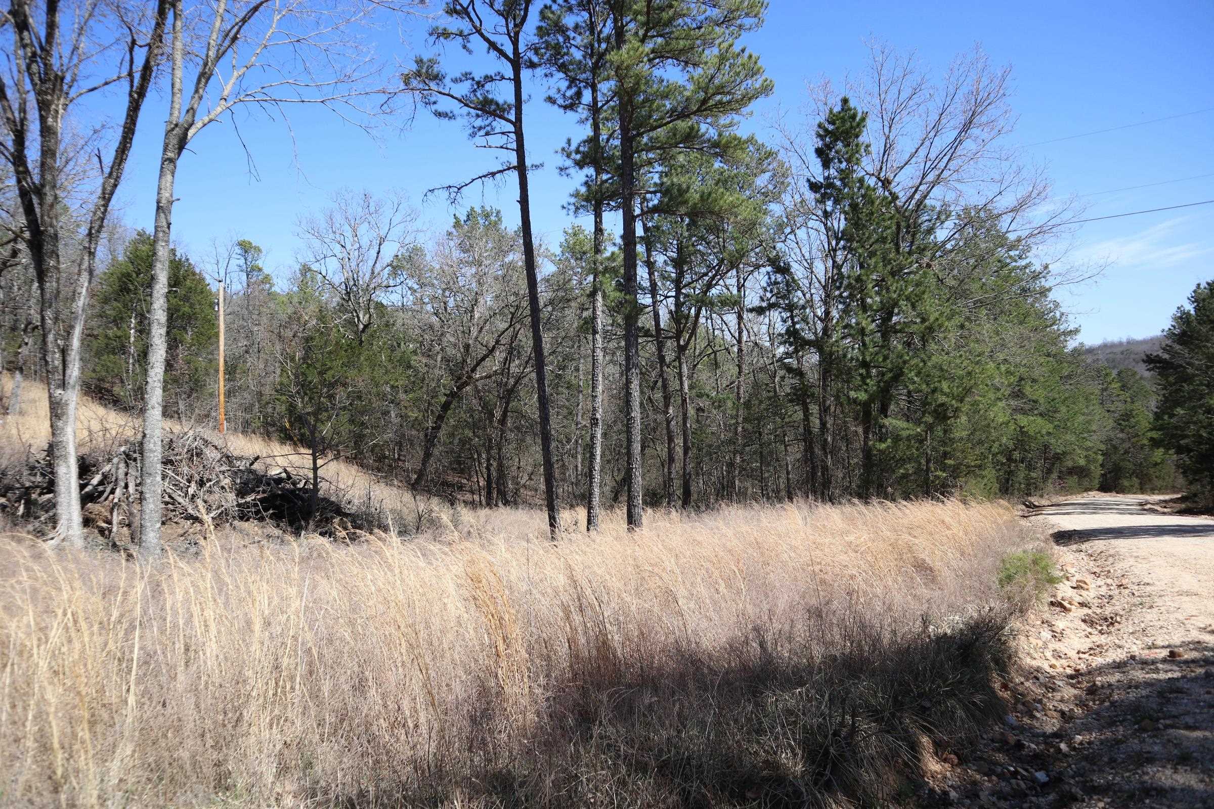 TBD  Glade Hill Rd  Elizabeth, AR